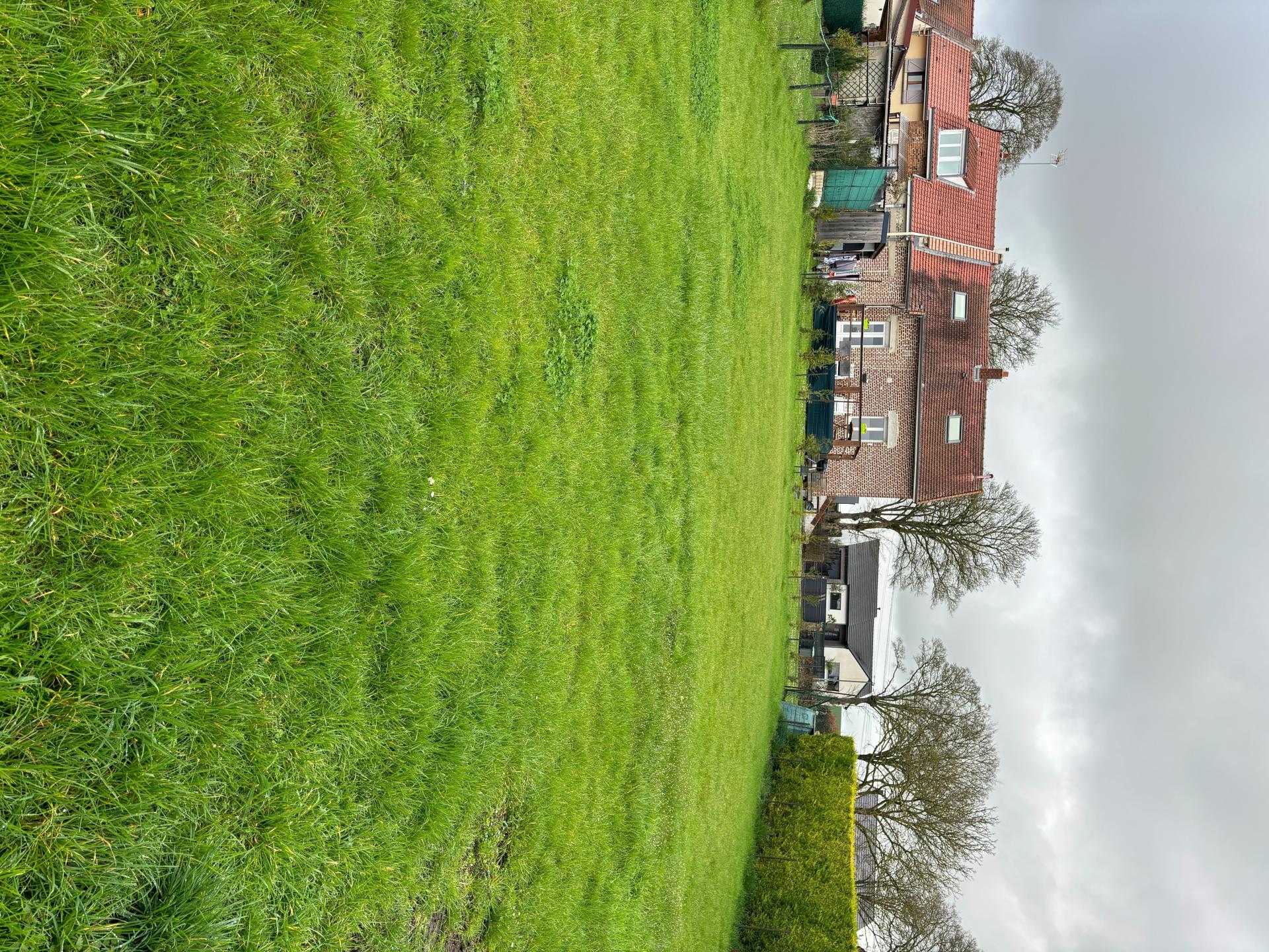 Miniature photo - 12 / 12