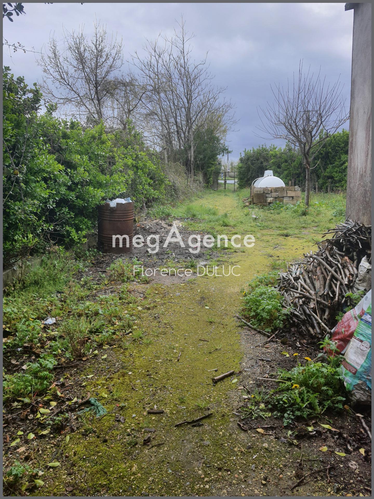 Miniature photo - 3 / 11