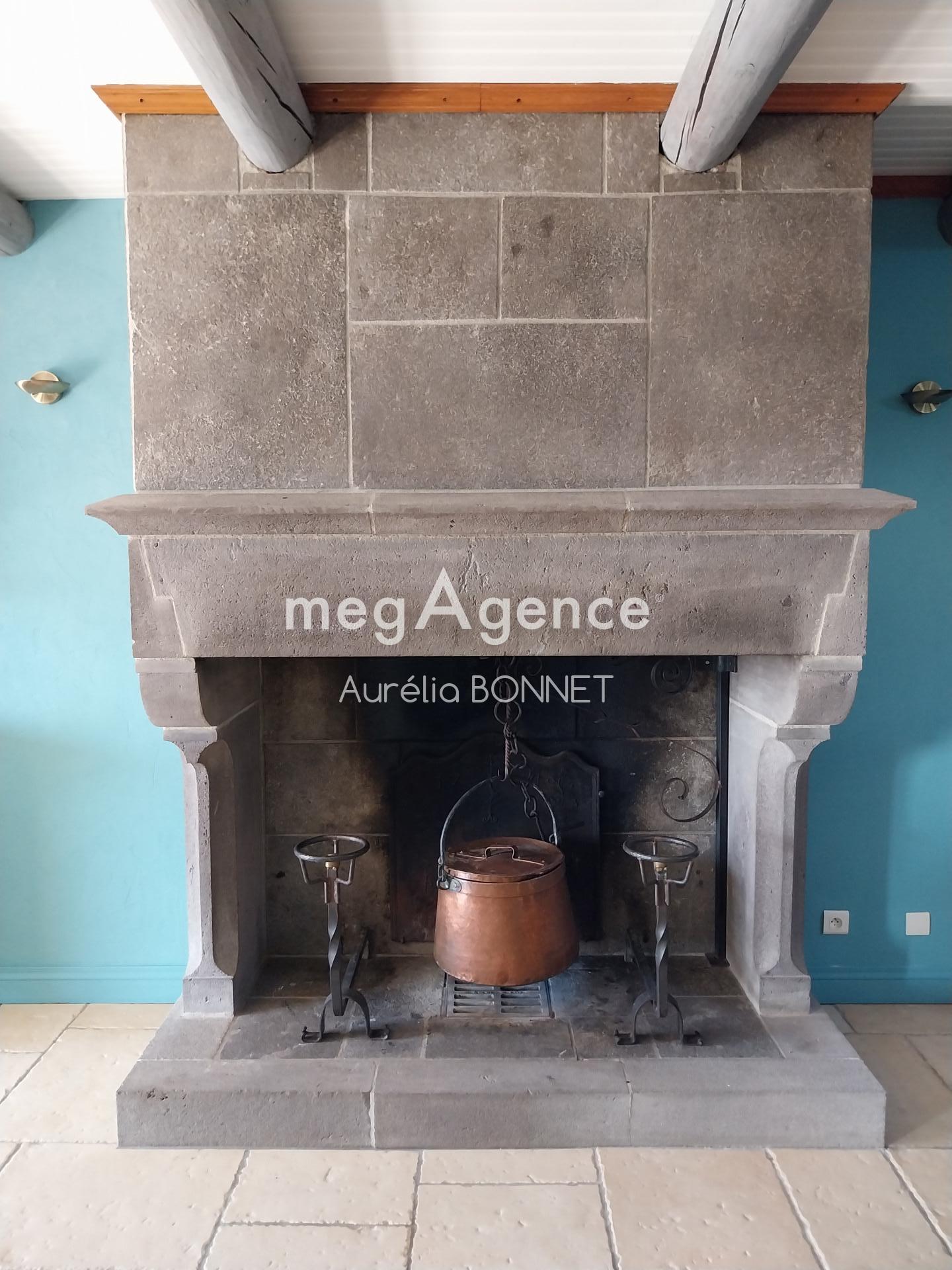 Miniature photo - 8 / 10