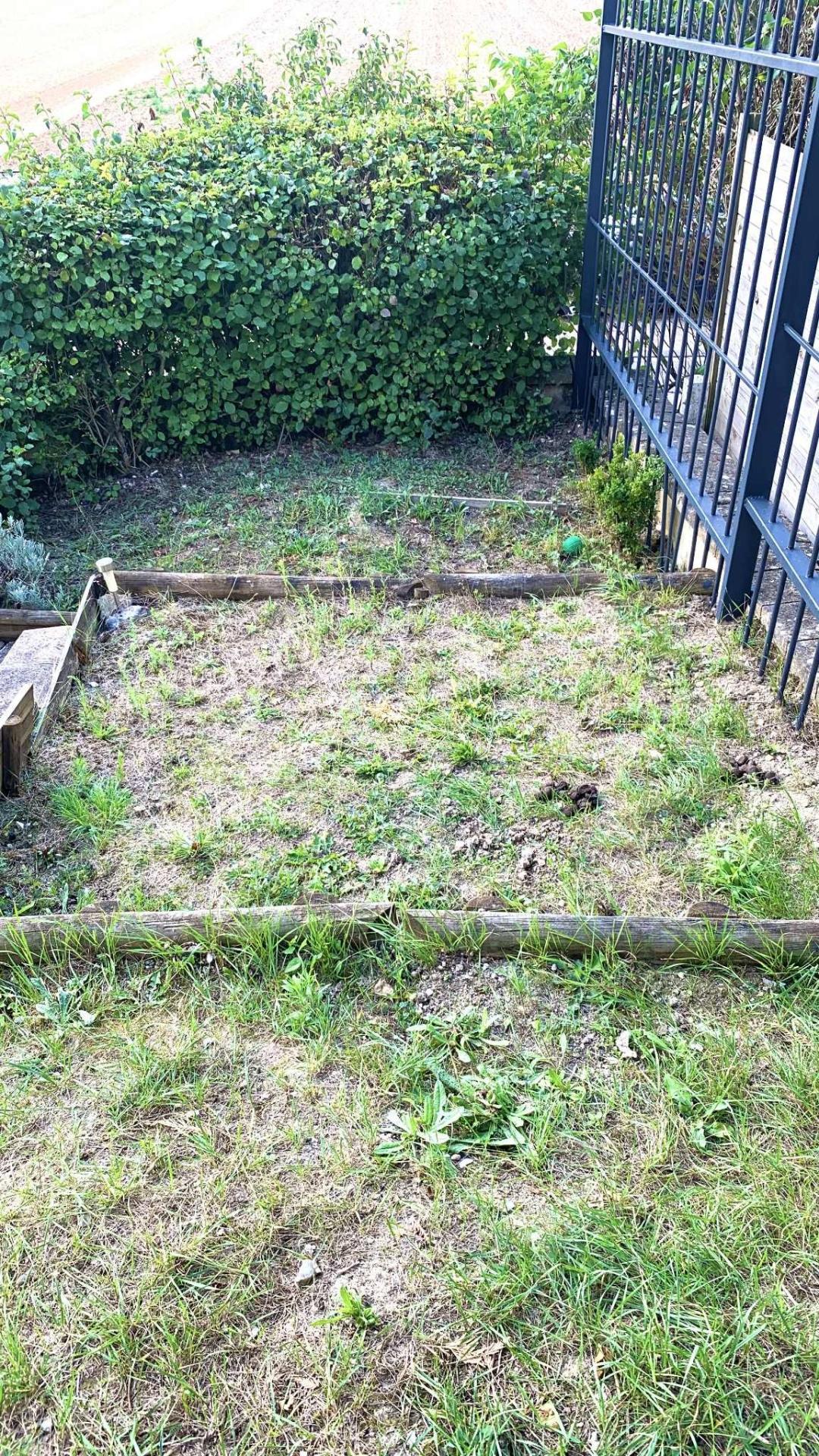 Miniature photo - 13 / 13