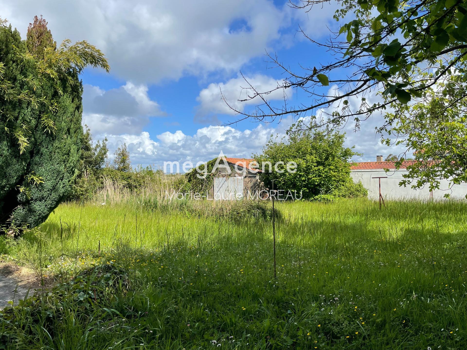 Miniature photo - 15 / 17