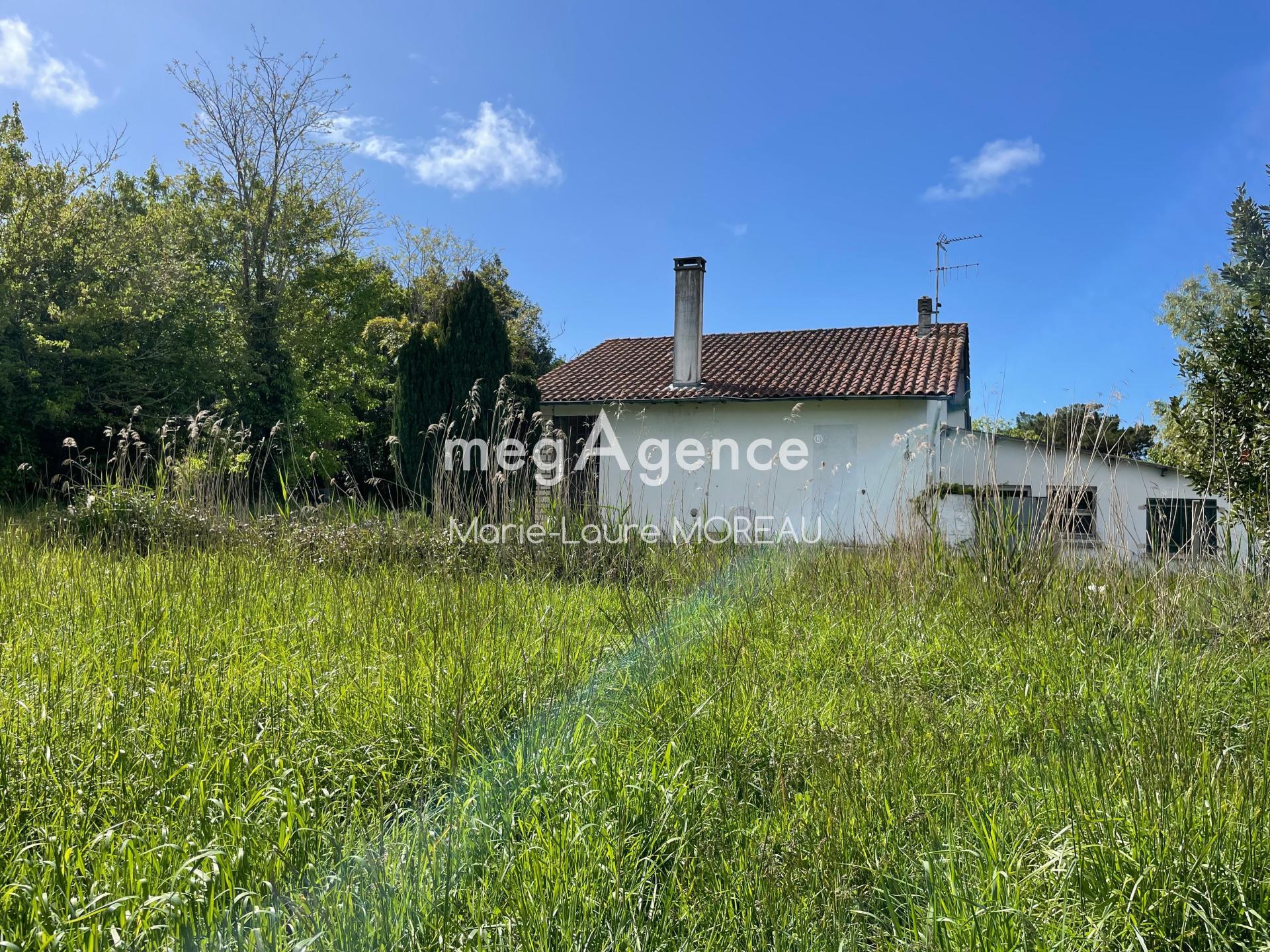 Miniature photo - 16 / 17