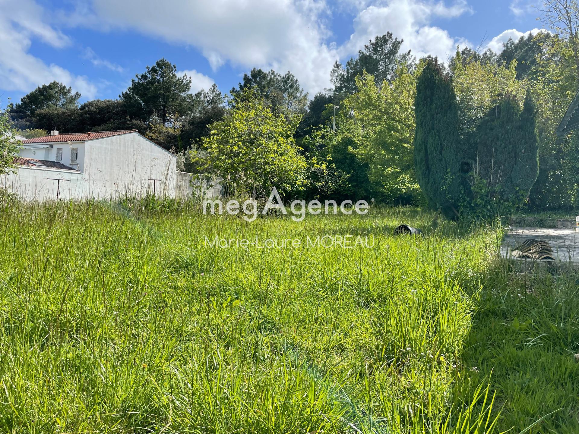 Miniature photo - 17 / 17