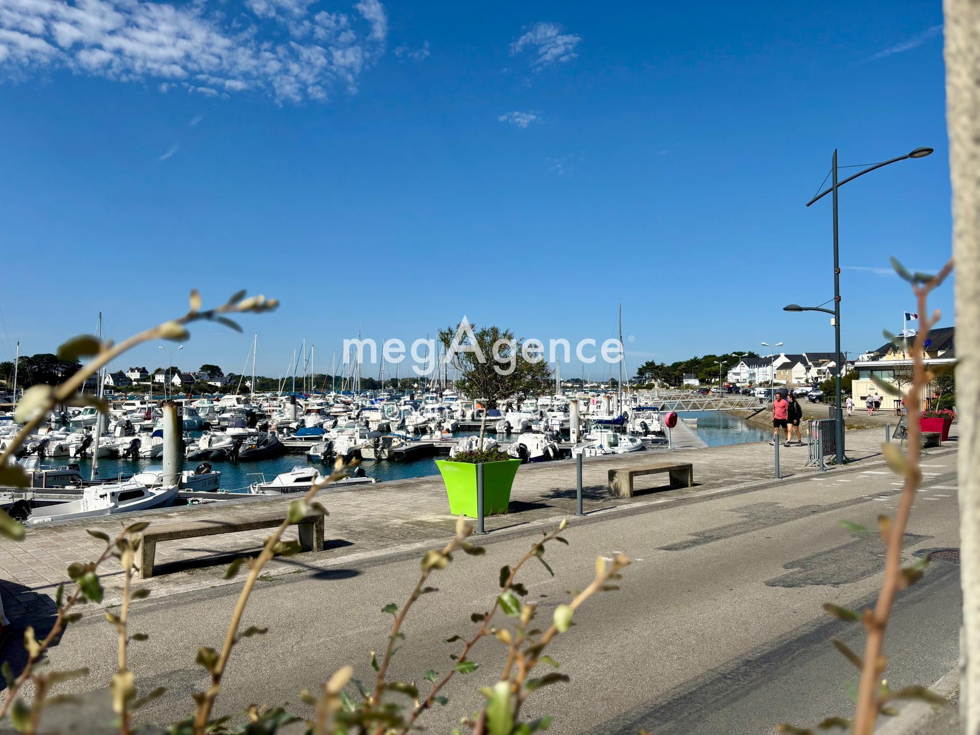 Miniature photo - 5 / 5