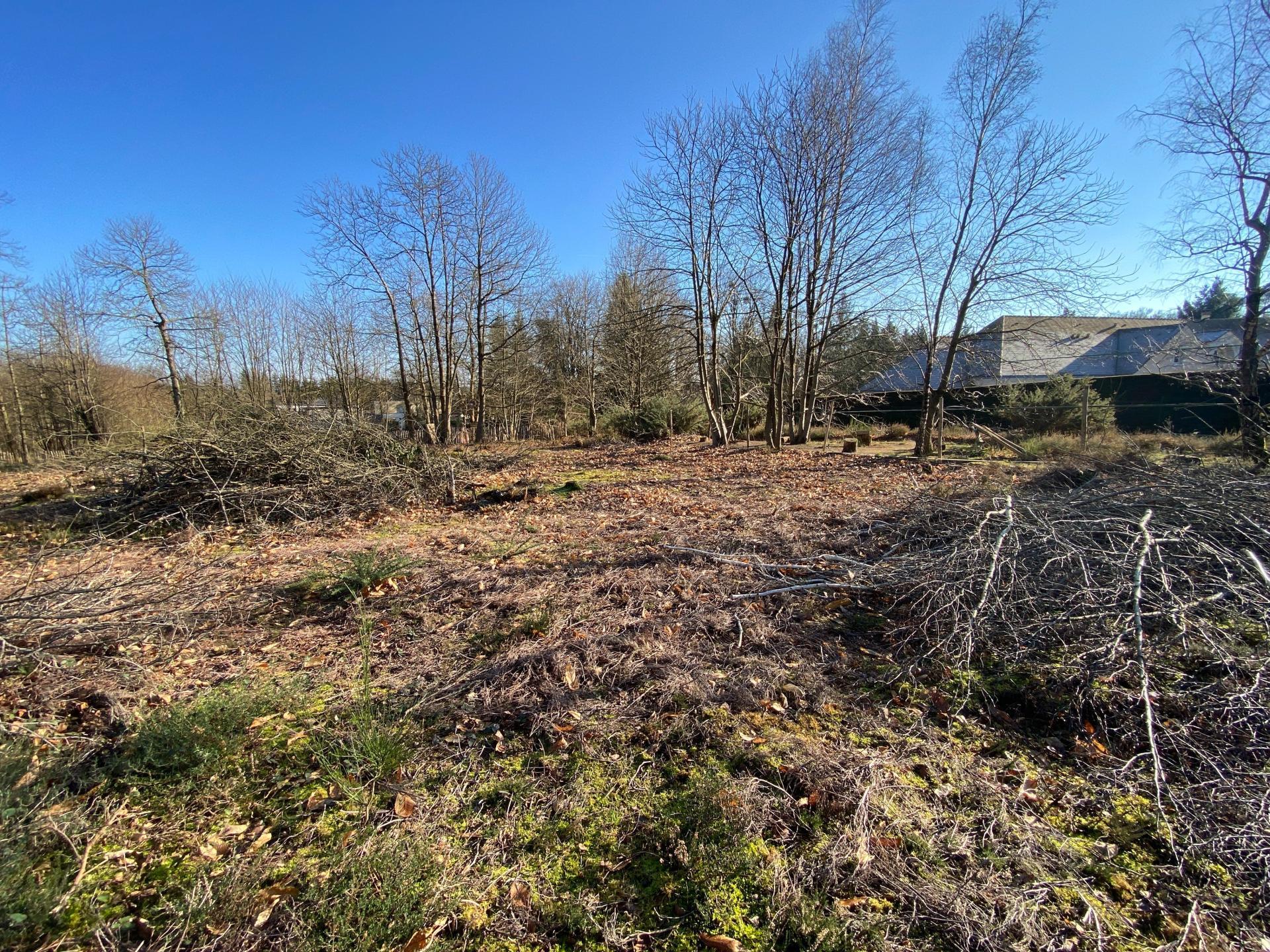 Miniature photo - 2 / 3