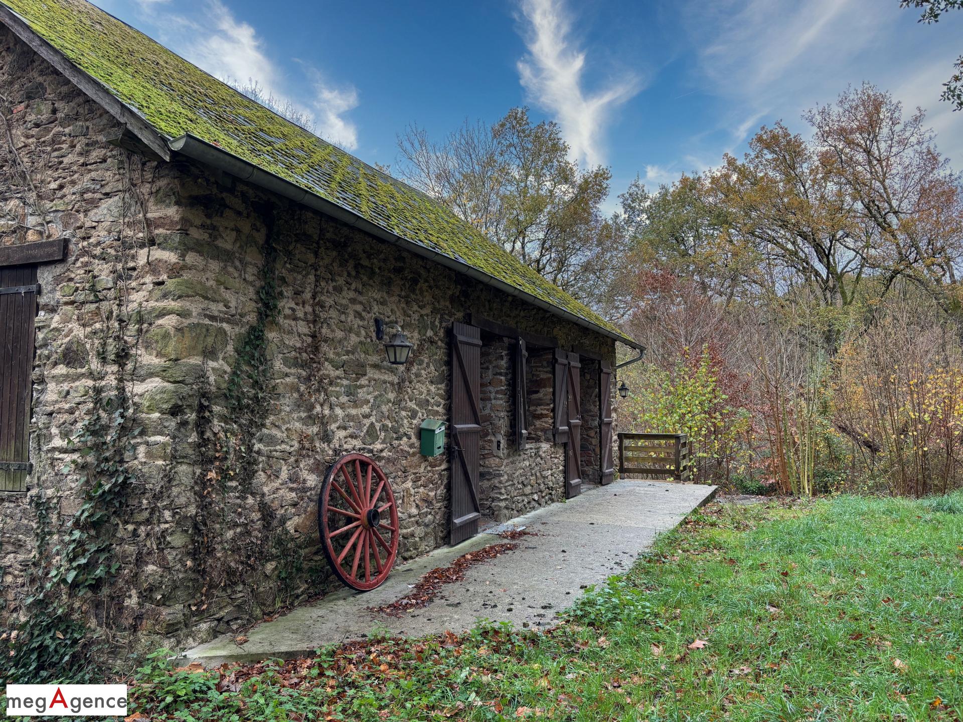 Miniature photo - 4 / 18