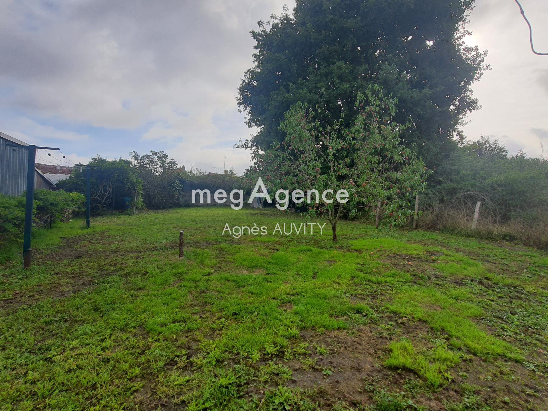 Miniature photo - 9 / 10