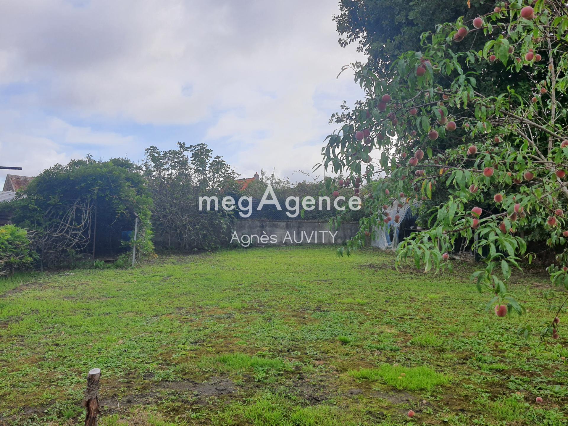 Miniature photo - 10 / 10