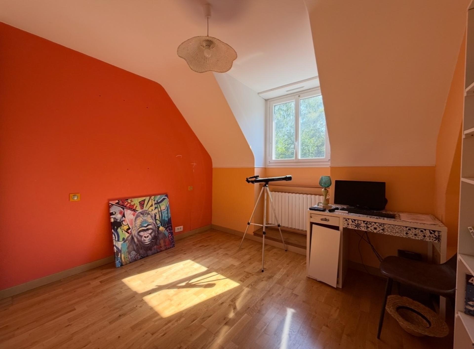 Miniature photo - 11 / 19