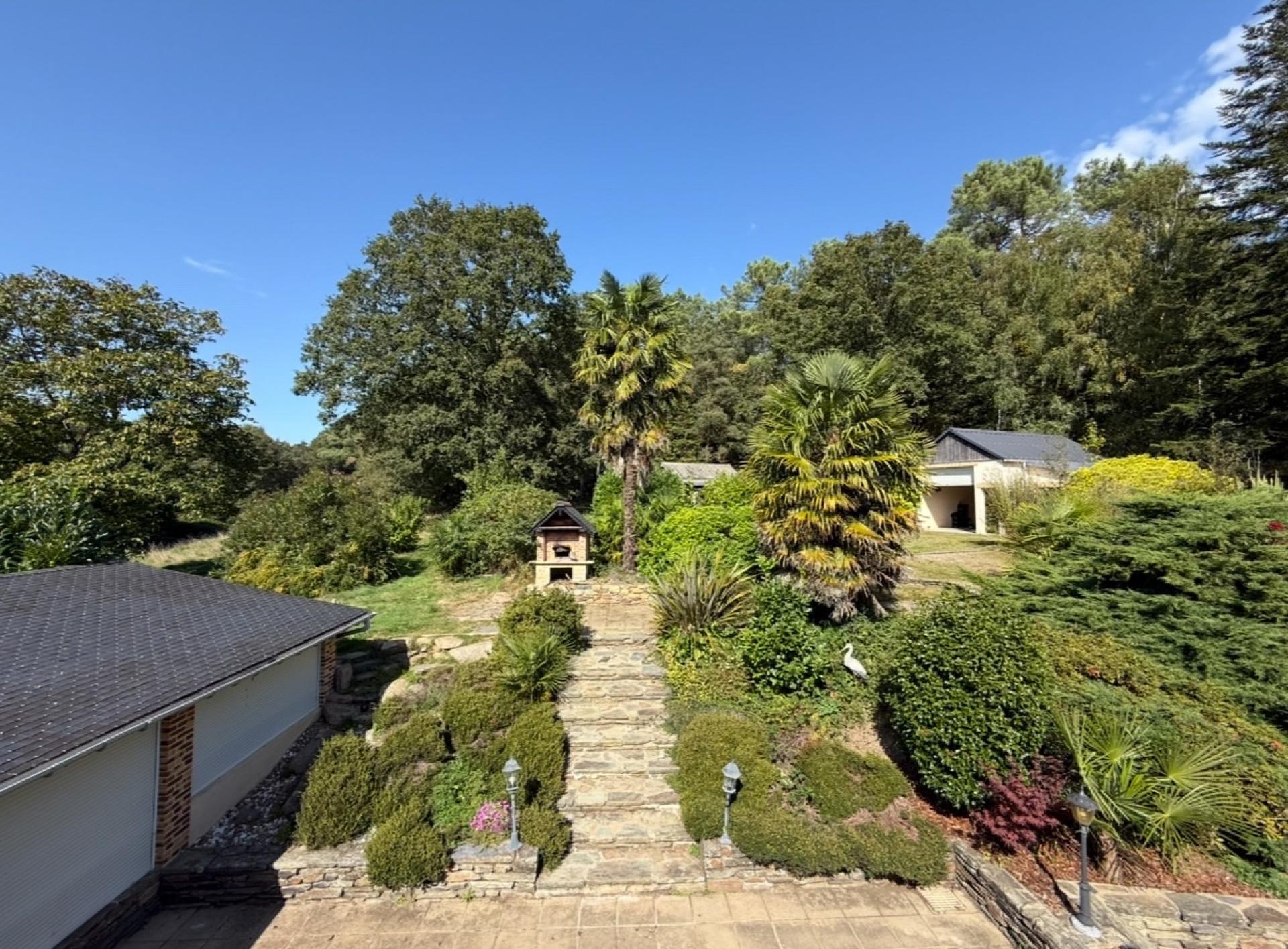 Miniature photo - 2 / 19