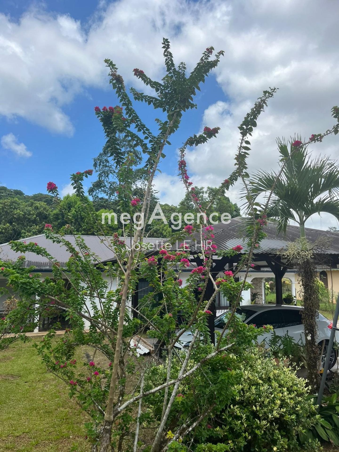 Miniature photo - 14 / 14