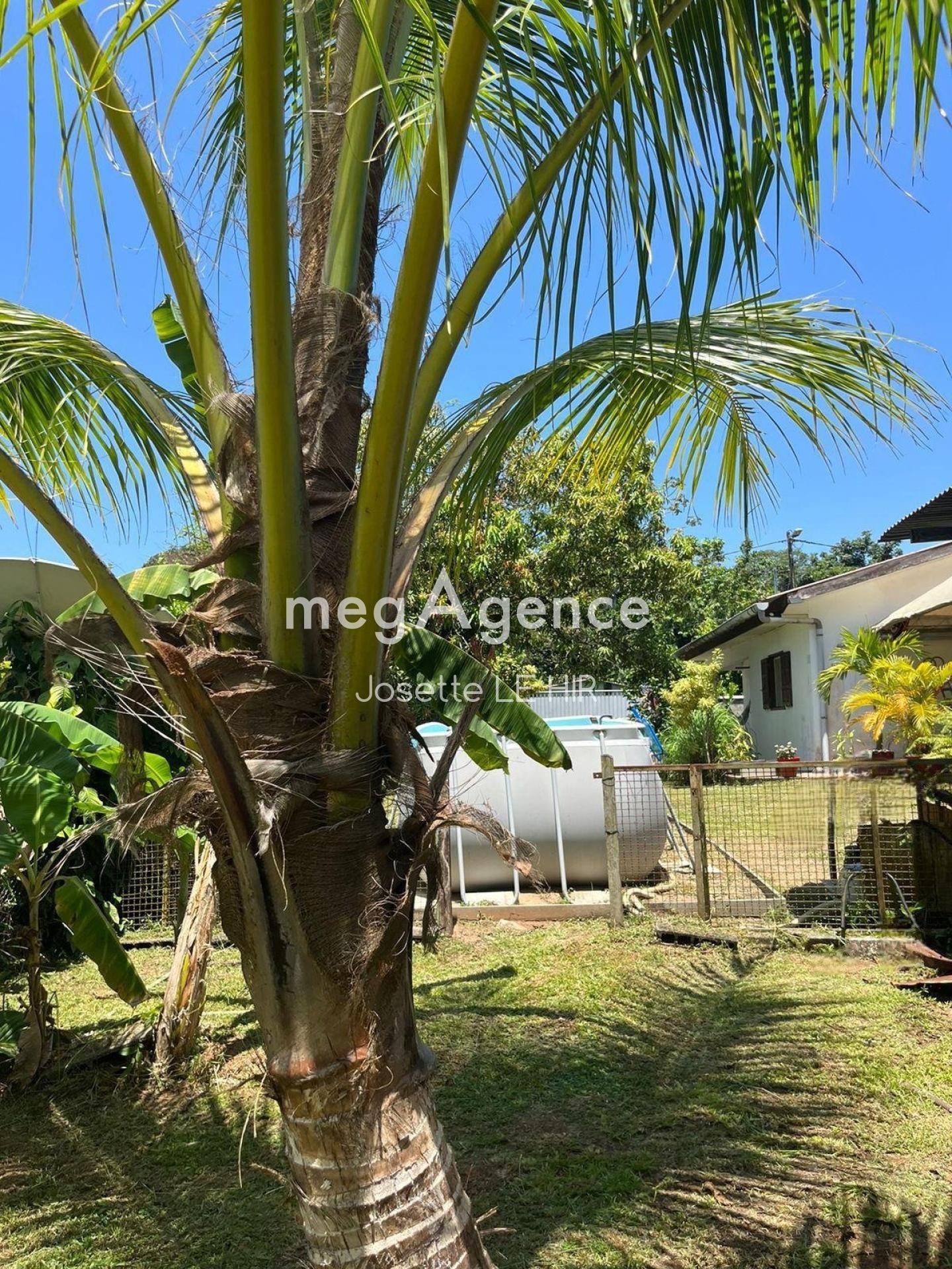 Miniature photo - 7 / 14