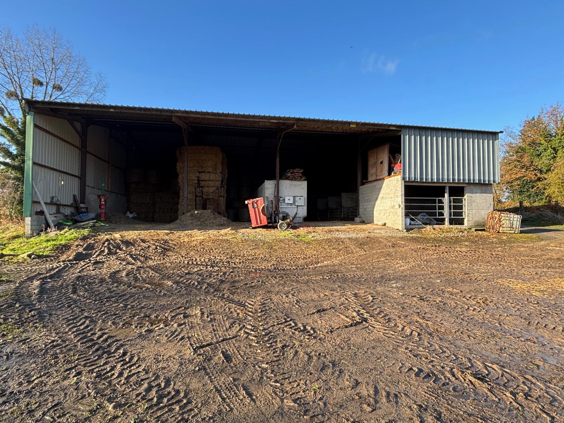 Miniature photo - 14 / 20