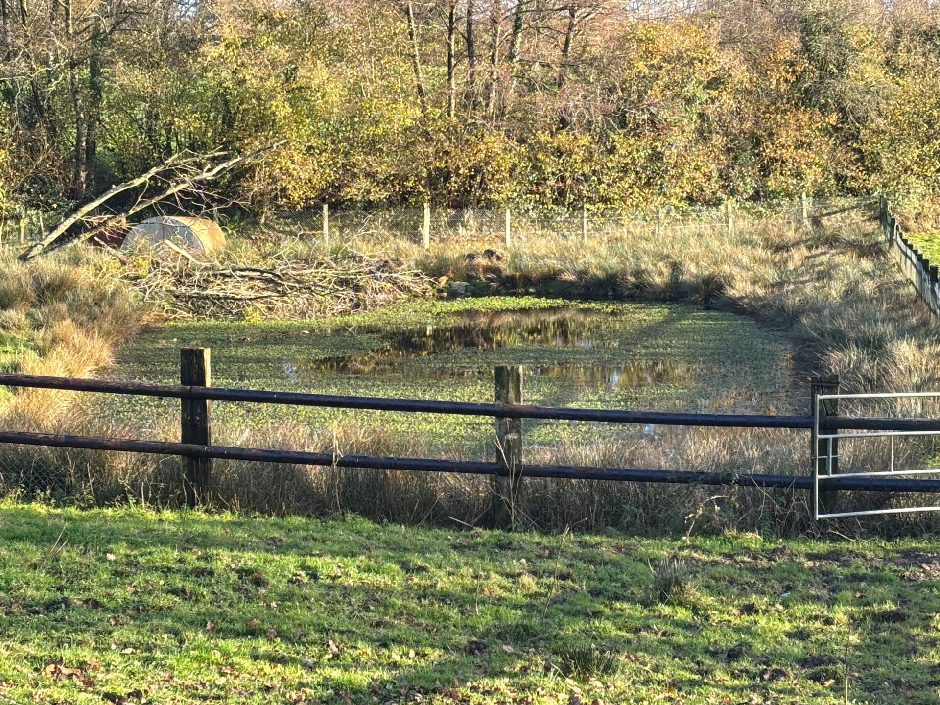 Miniature photo - 18 / 20