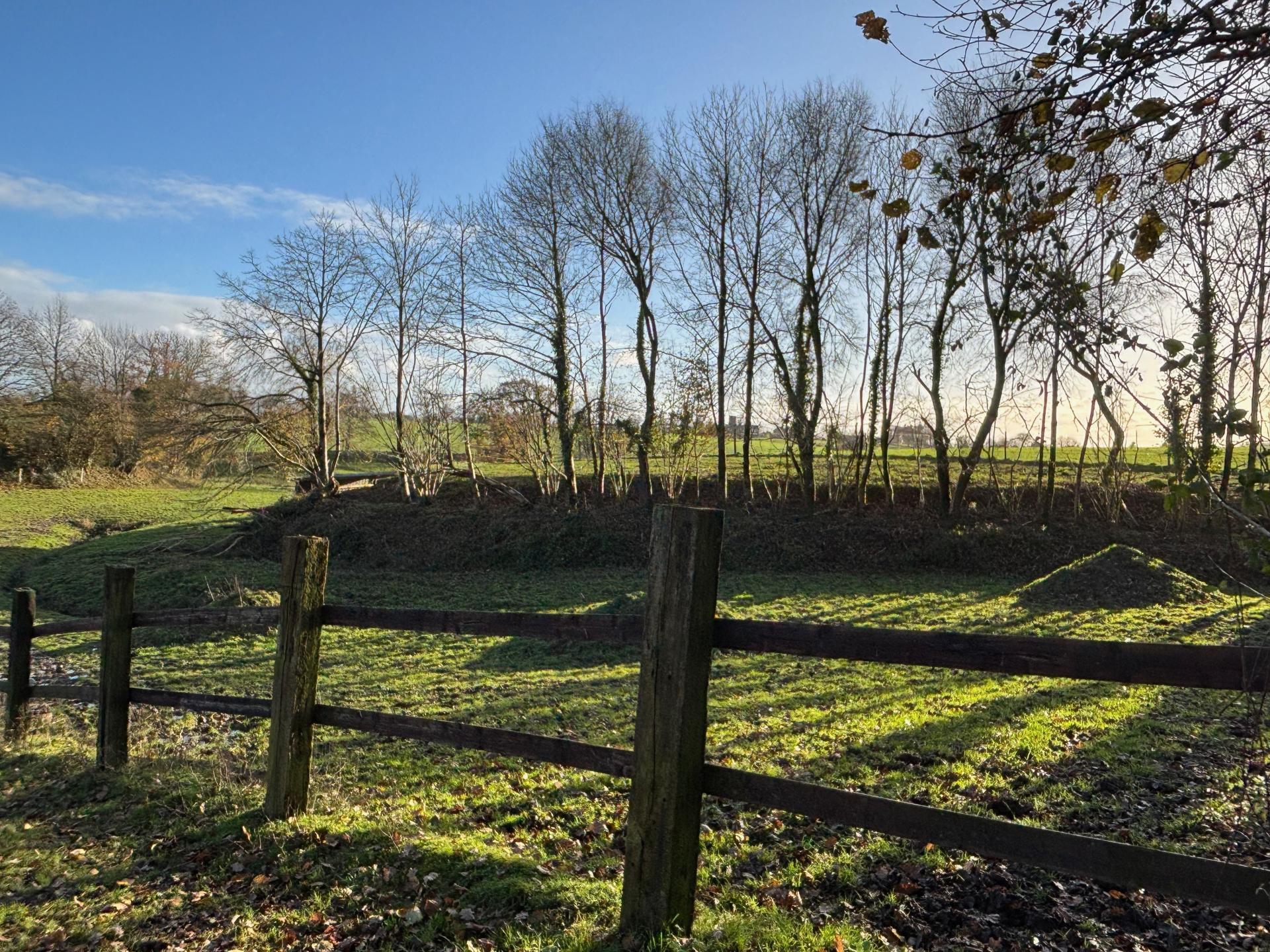 Miniature photo - 19 / 20