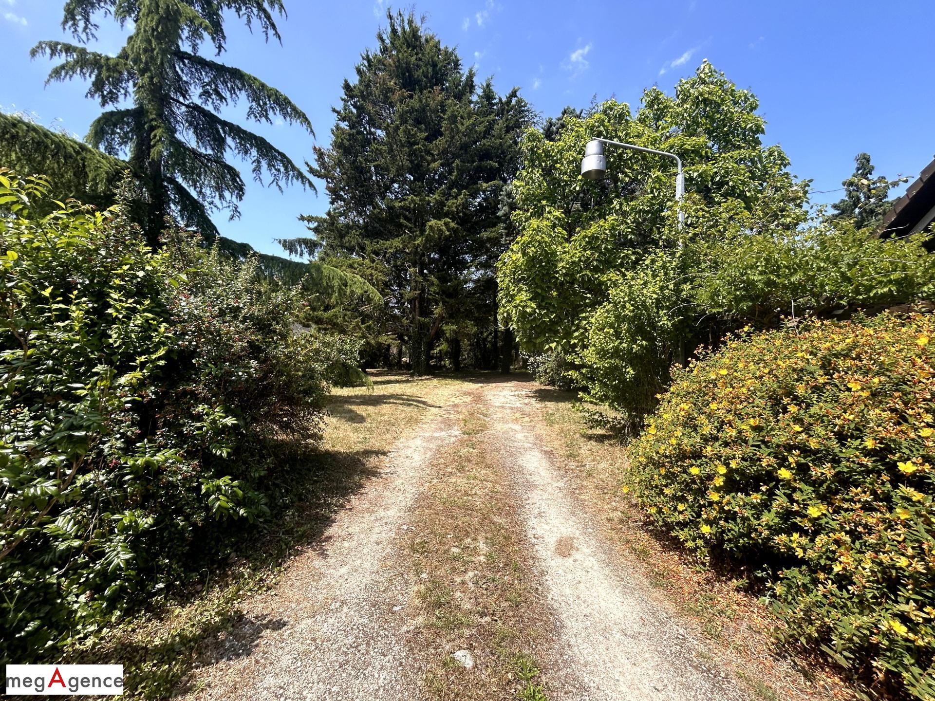 Miniature photo - 6 / 6