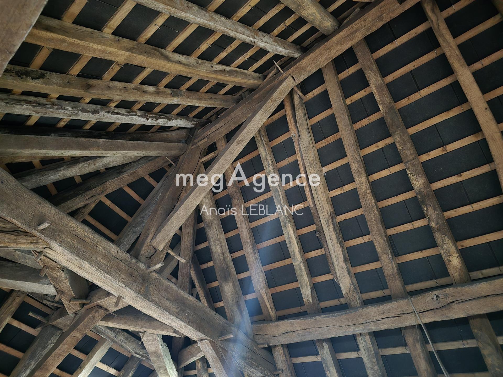 Miniature photo - 5 / 5