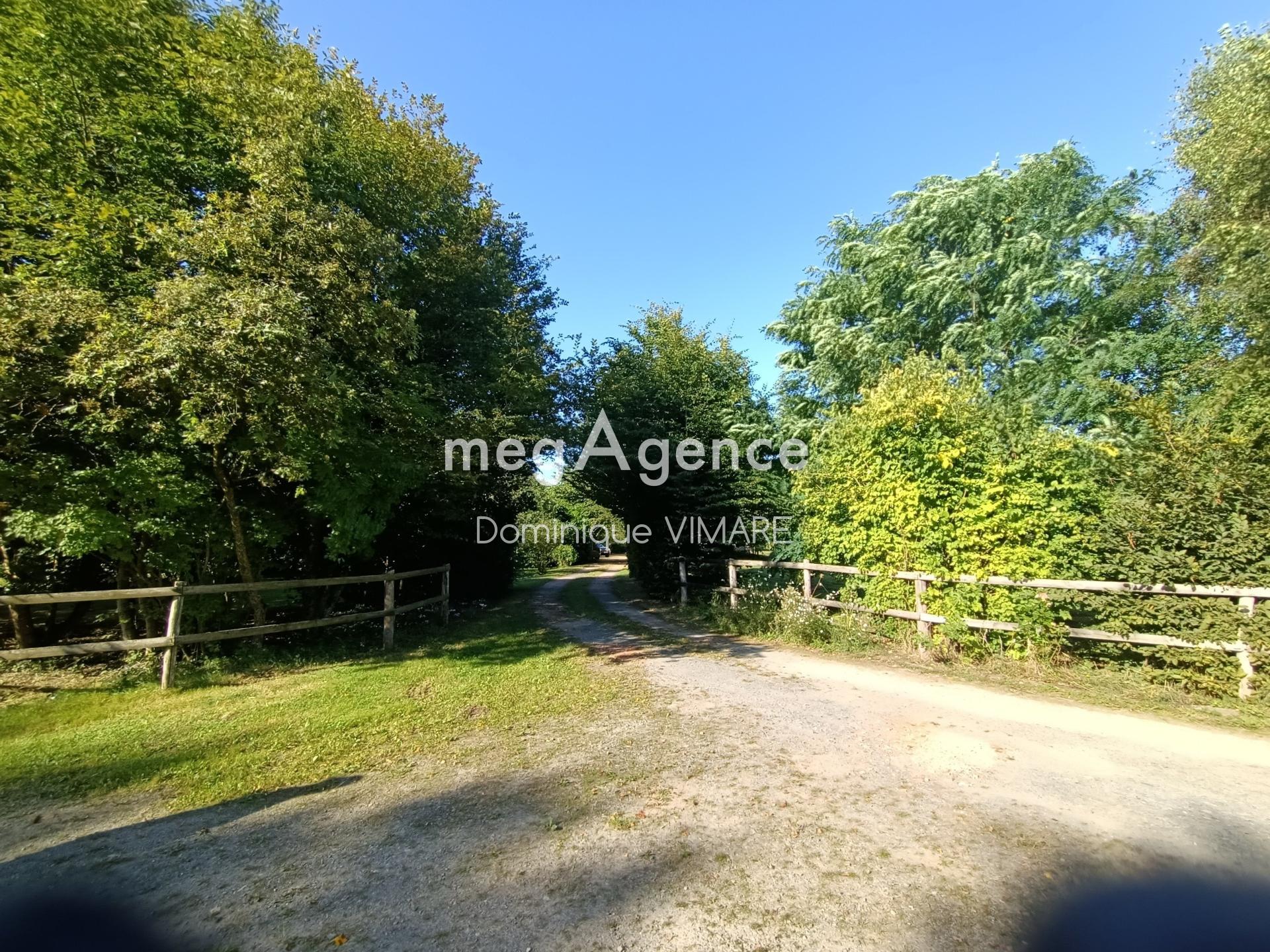 Miniature photo - 10 / 10