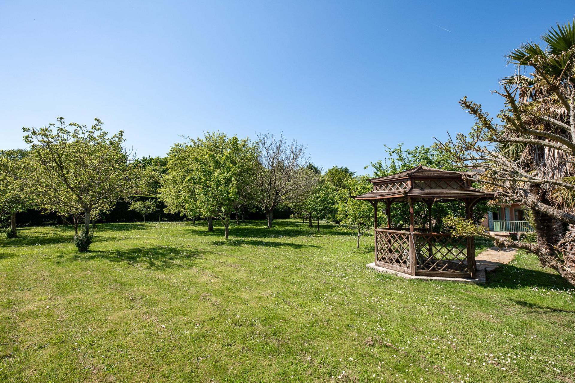 Miniature photo - 11 / 11