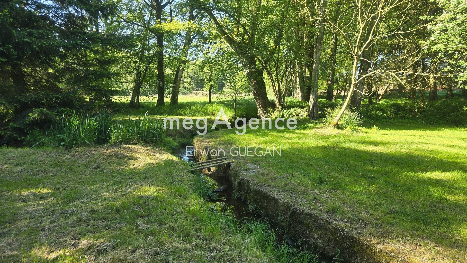 Miniature photo - 4 / 20