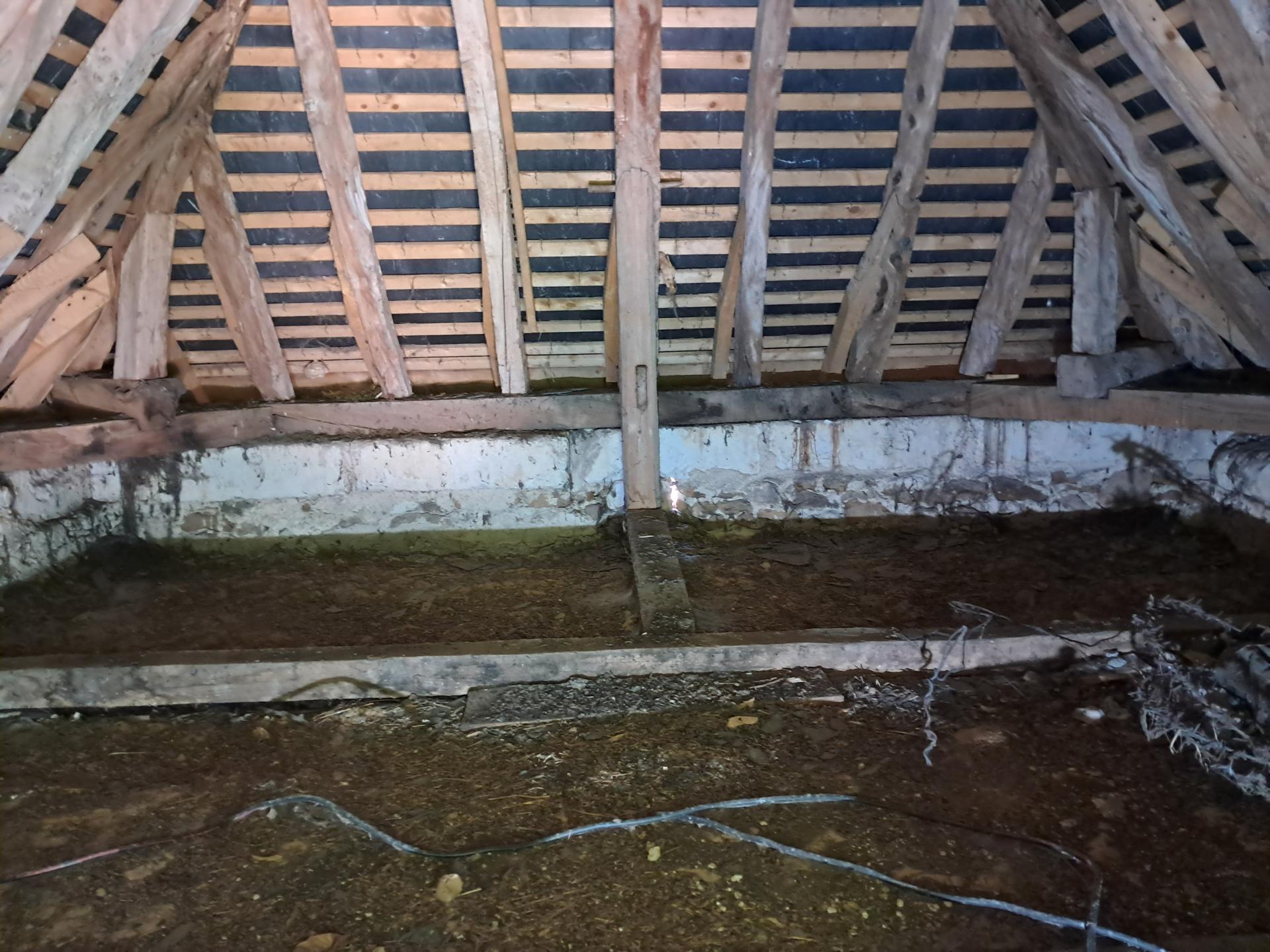 Miniature photo - 9 / 9