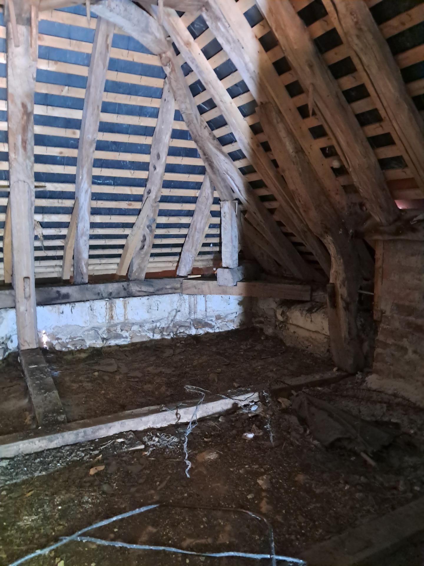 Miniature photo - 8 / 9