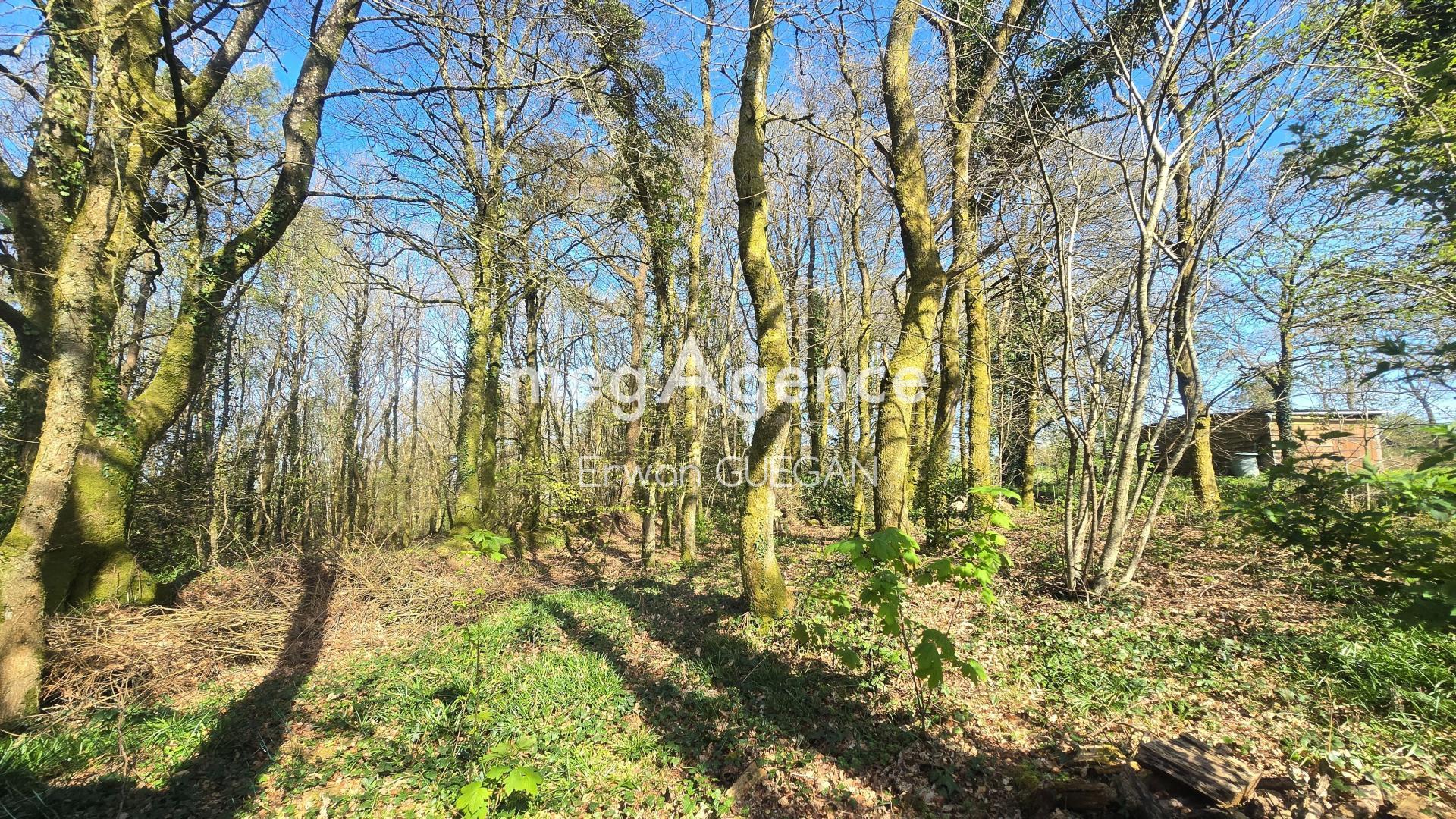 Miniature photo - 12 / 15