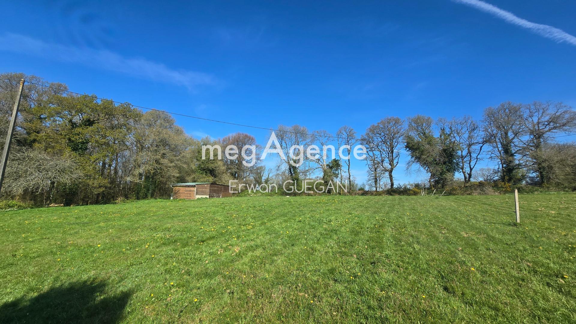 Miniature photo - 14 / 15