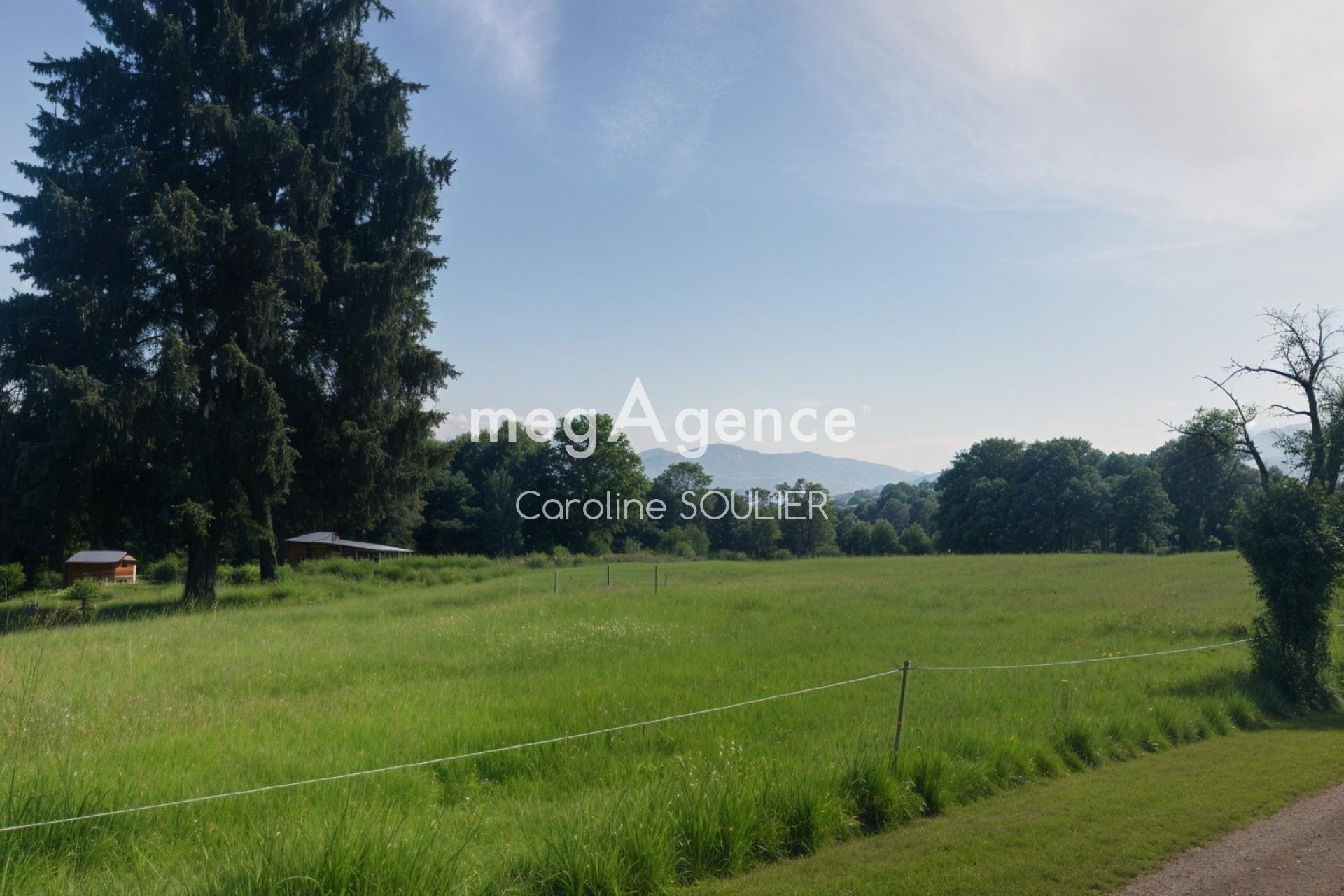 Miniature photo - 8 / 16