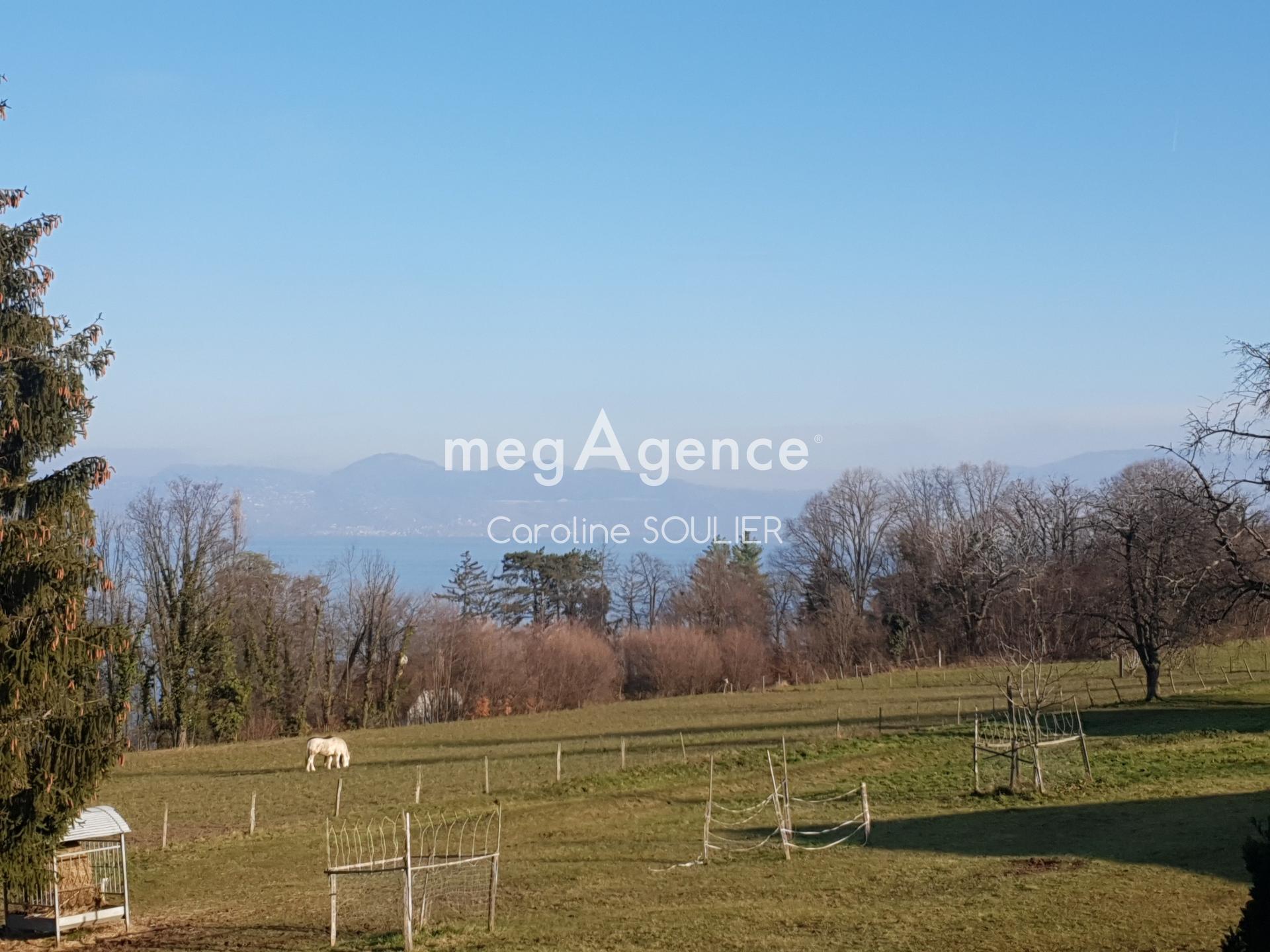 Miniature photo - 15 / 16