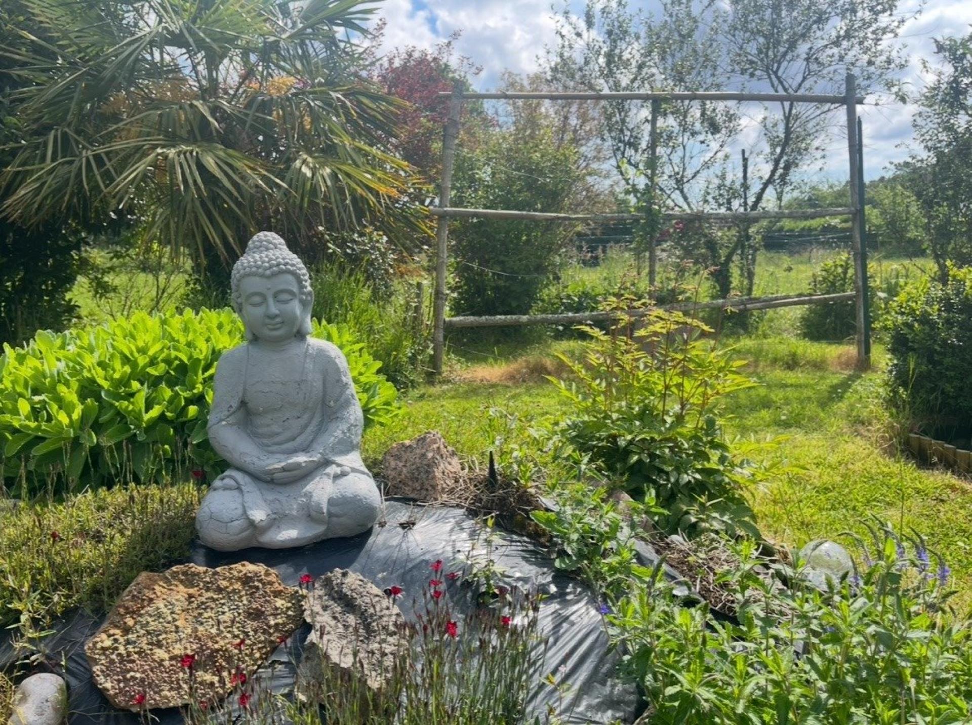 Photographie descriptive du bien