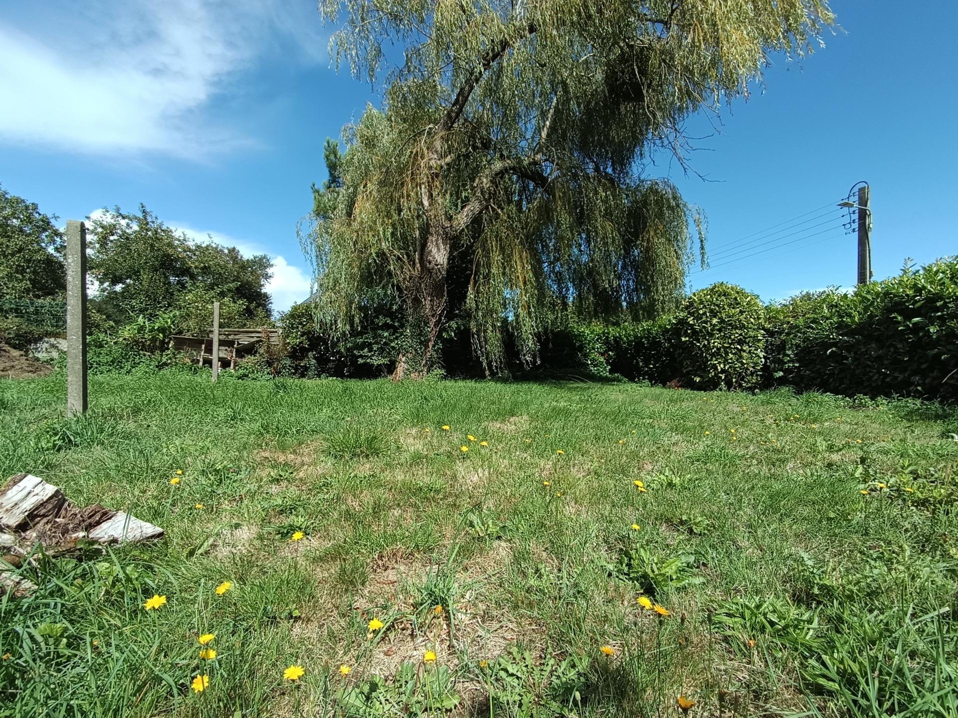 Miniature photo - 11 / 13