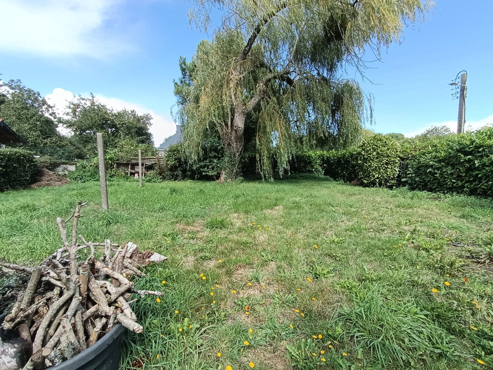 Miniature photo - 12 / 13