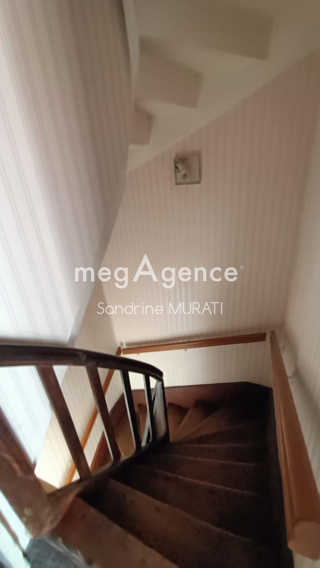 Miniature photo - 4 / 13