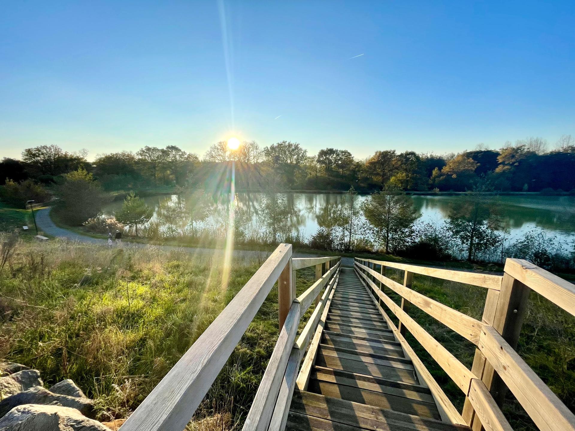 Miniature photo - 15 / 16