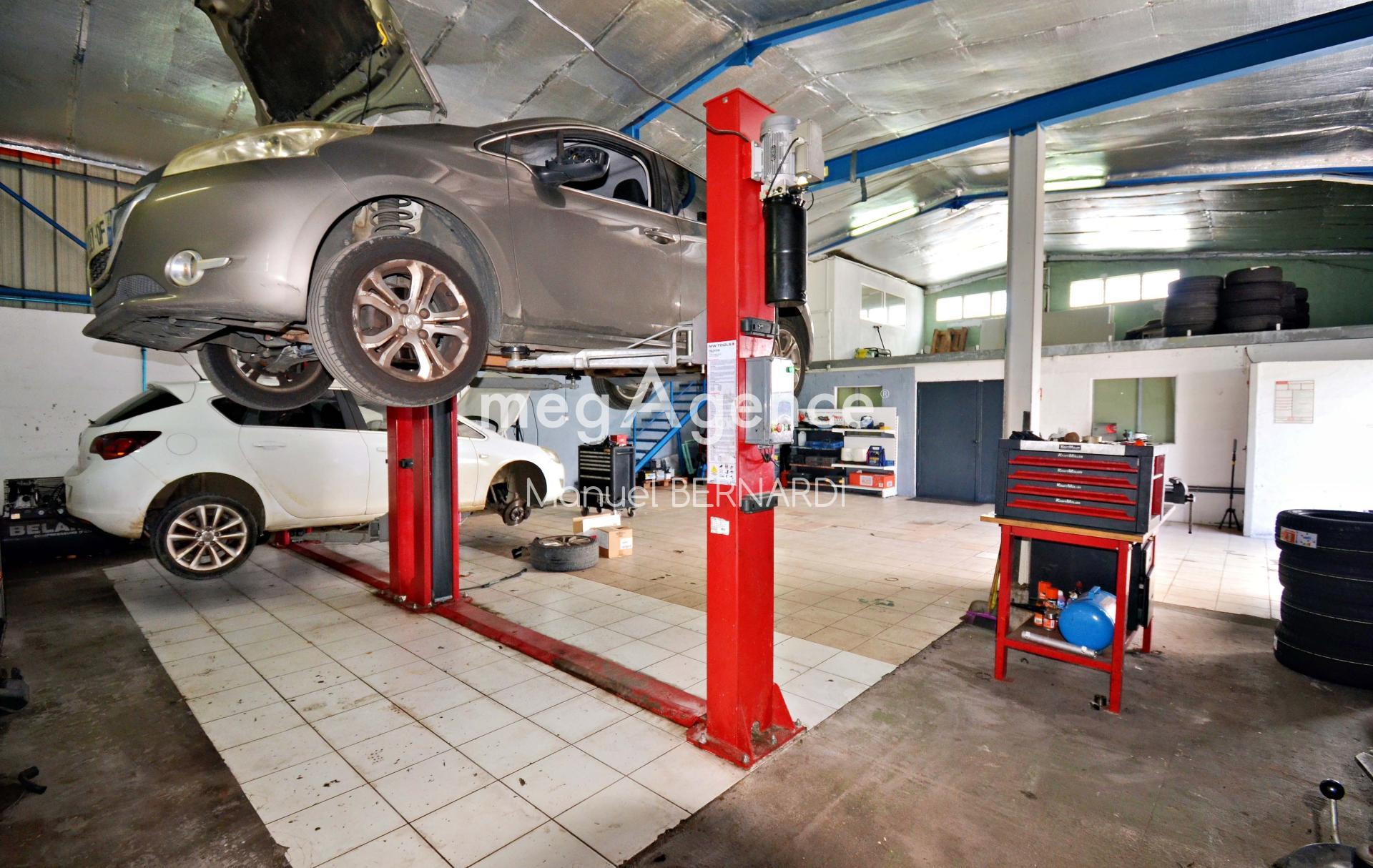 Miniature photo - 2 / 13