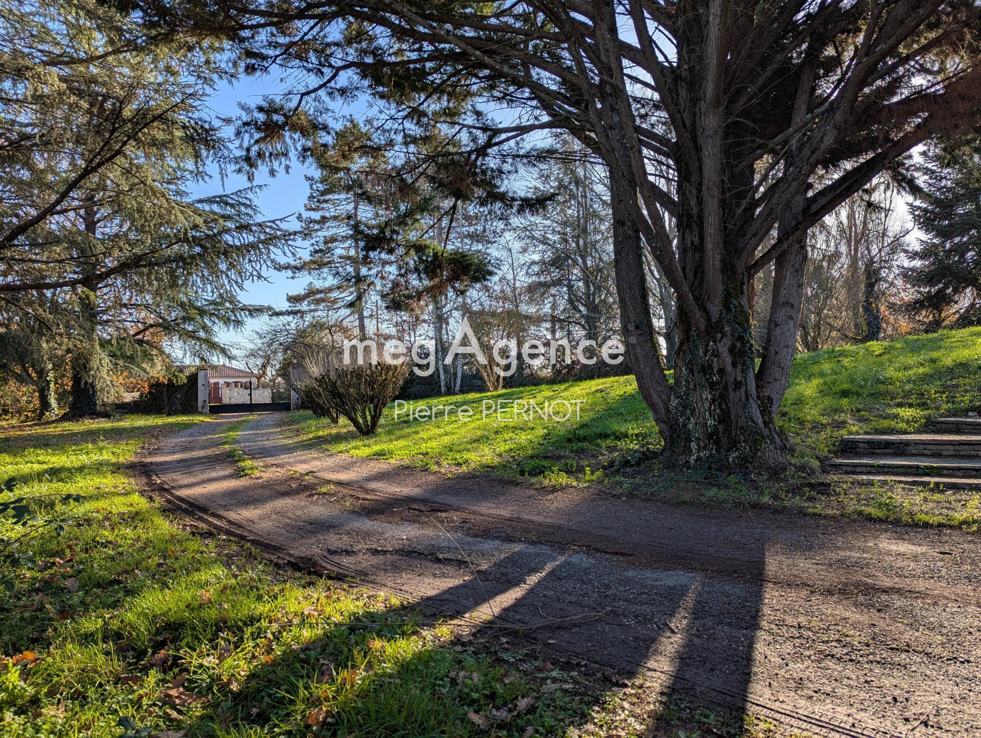 Miniature photo - 4 / 16