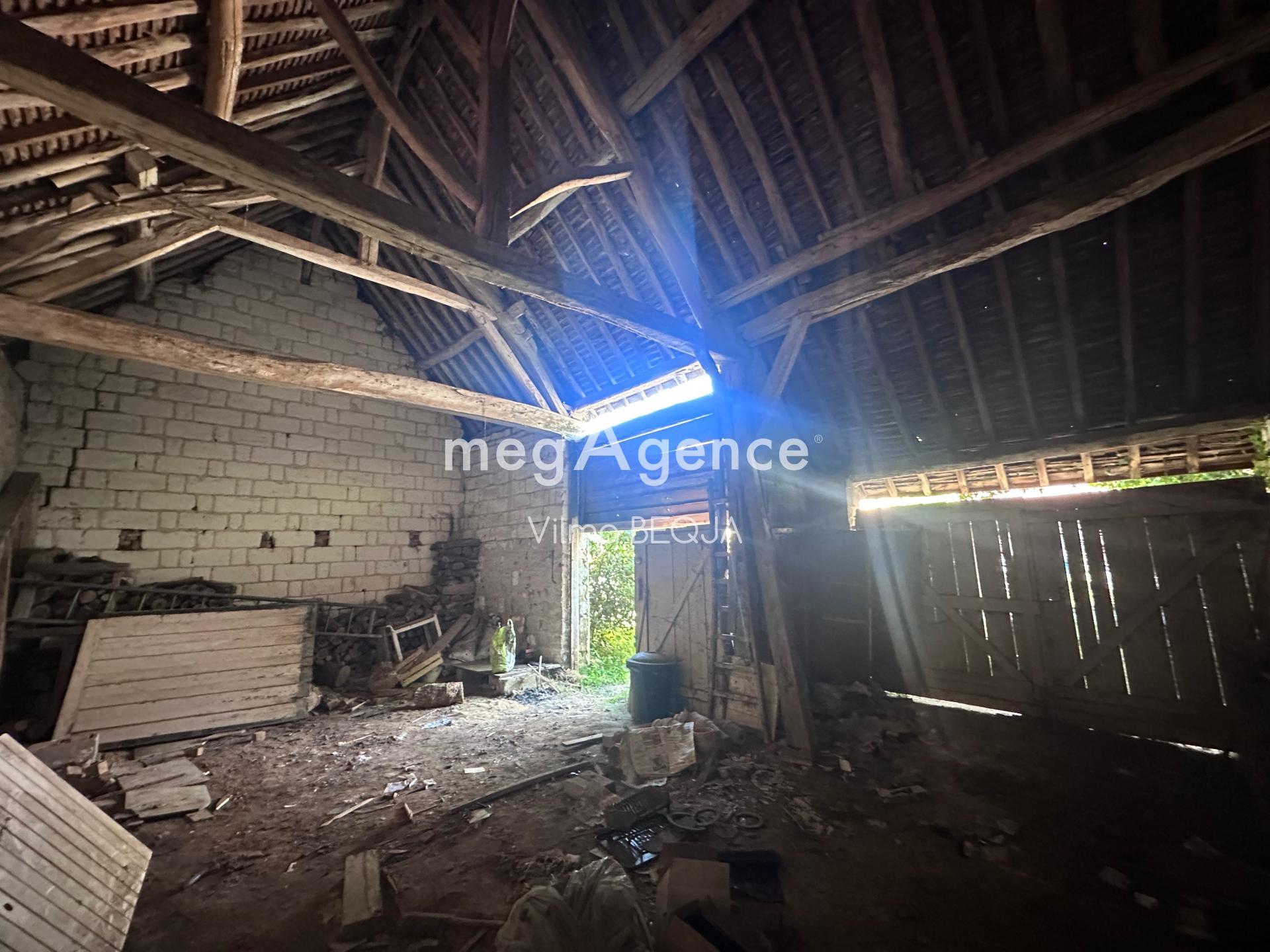 Miniature photo - 11 / 12