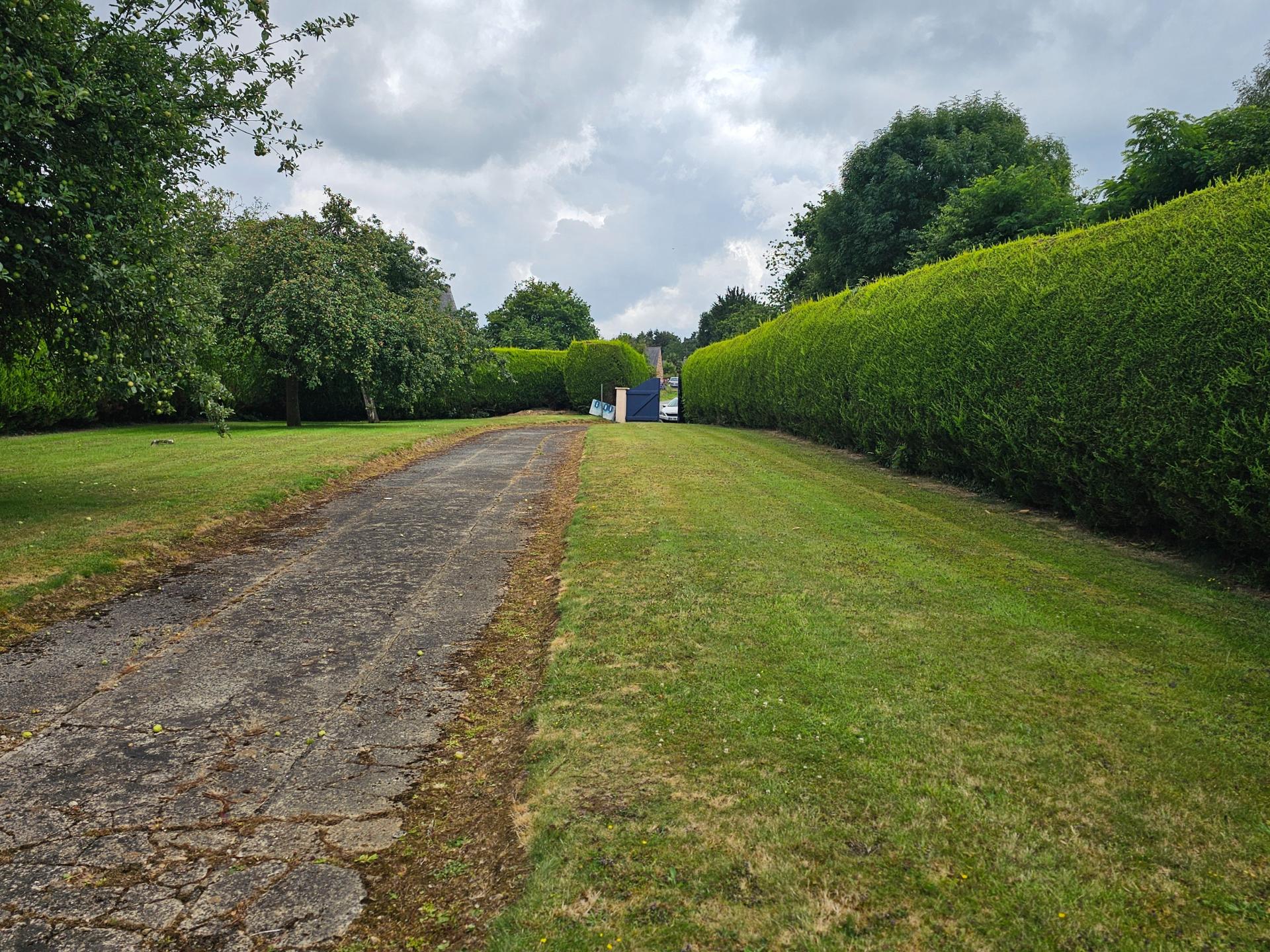 Miniature photo - 2 / 3