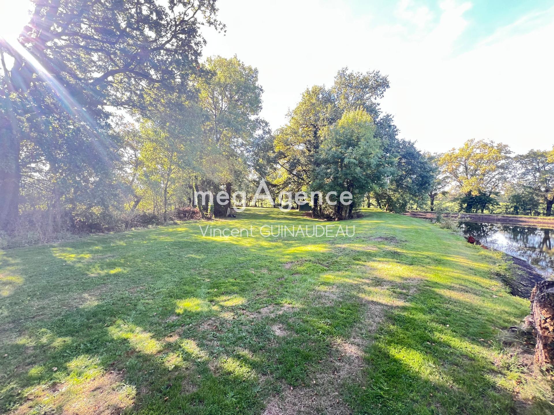 Miniature photo - 3 / 5