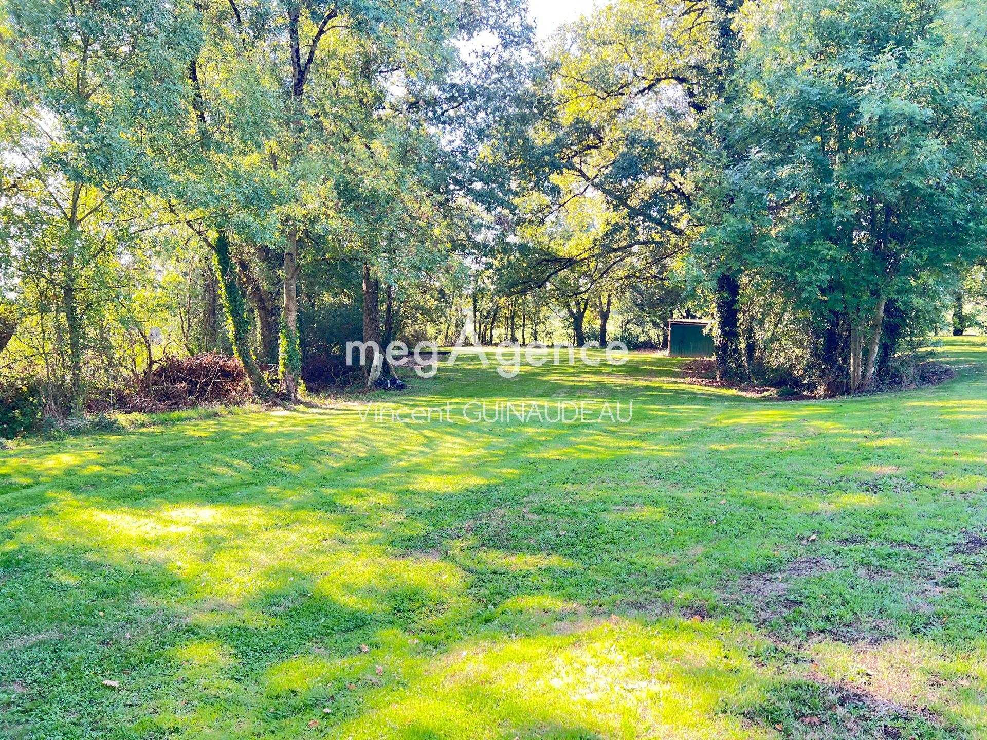 Miniature photo - 4 / 5