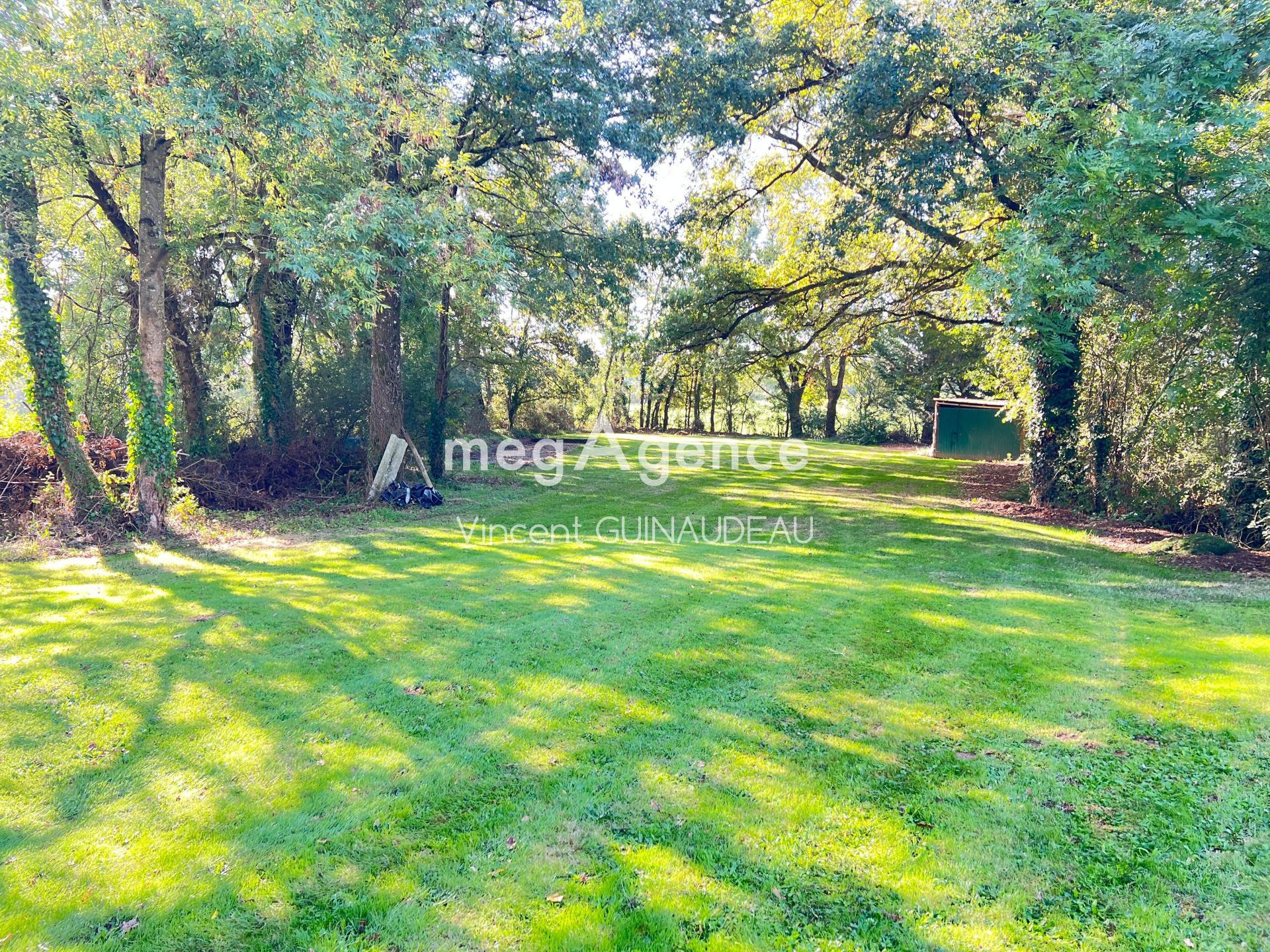 Miniature photo - 5 / 5