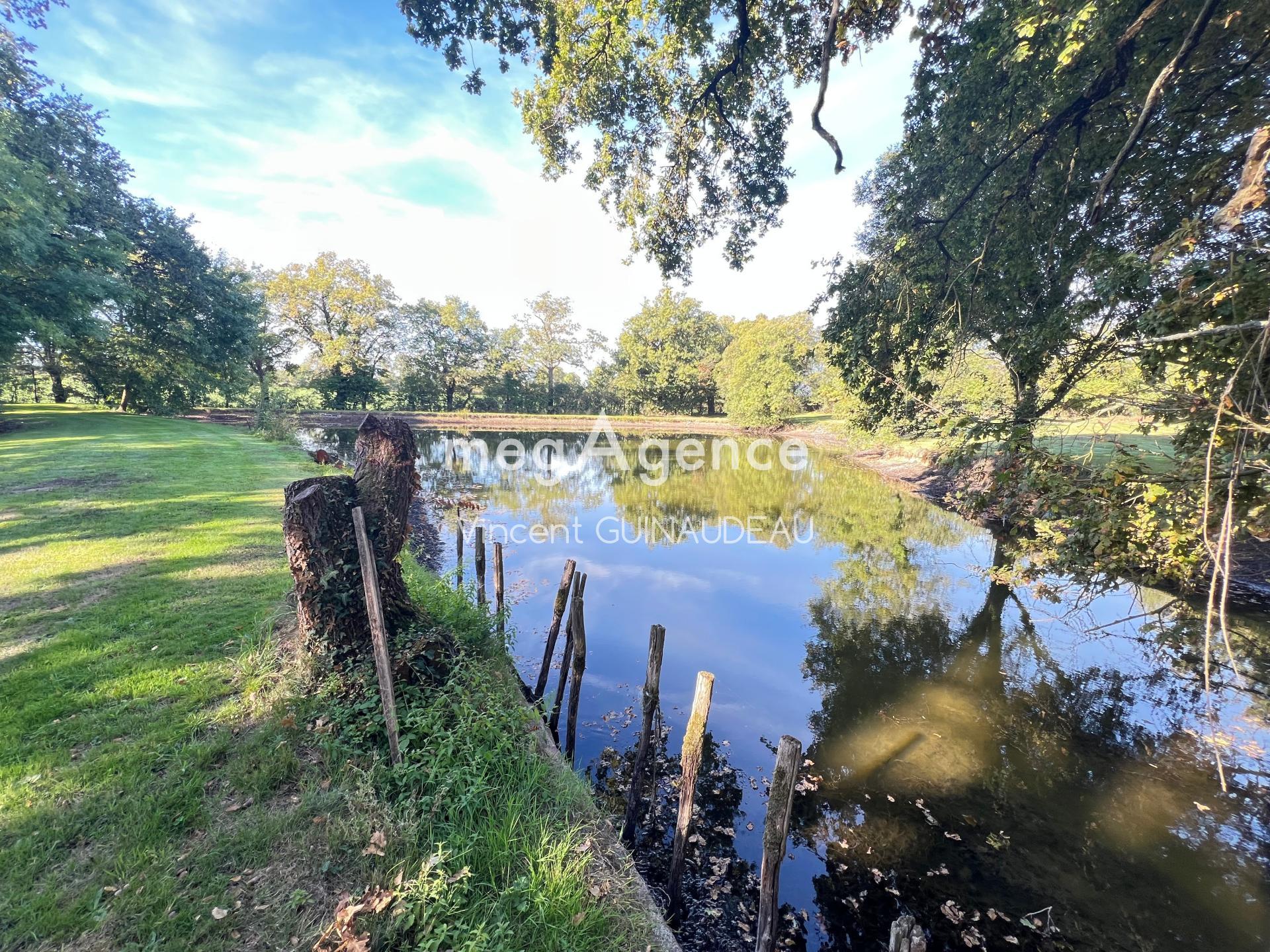 Miniature photo - 2 / 5