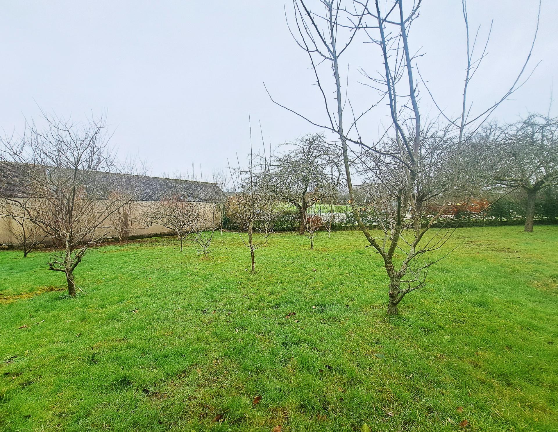 Miniature photo - 10 / 13