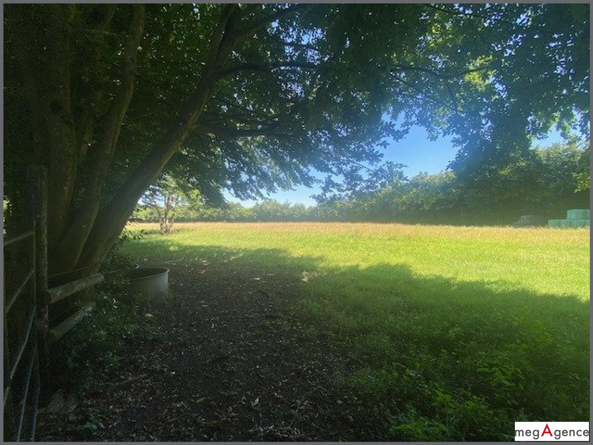 Miniature photo - 11 / 14