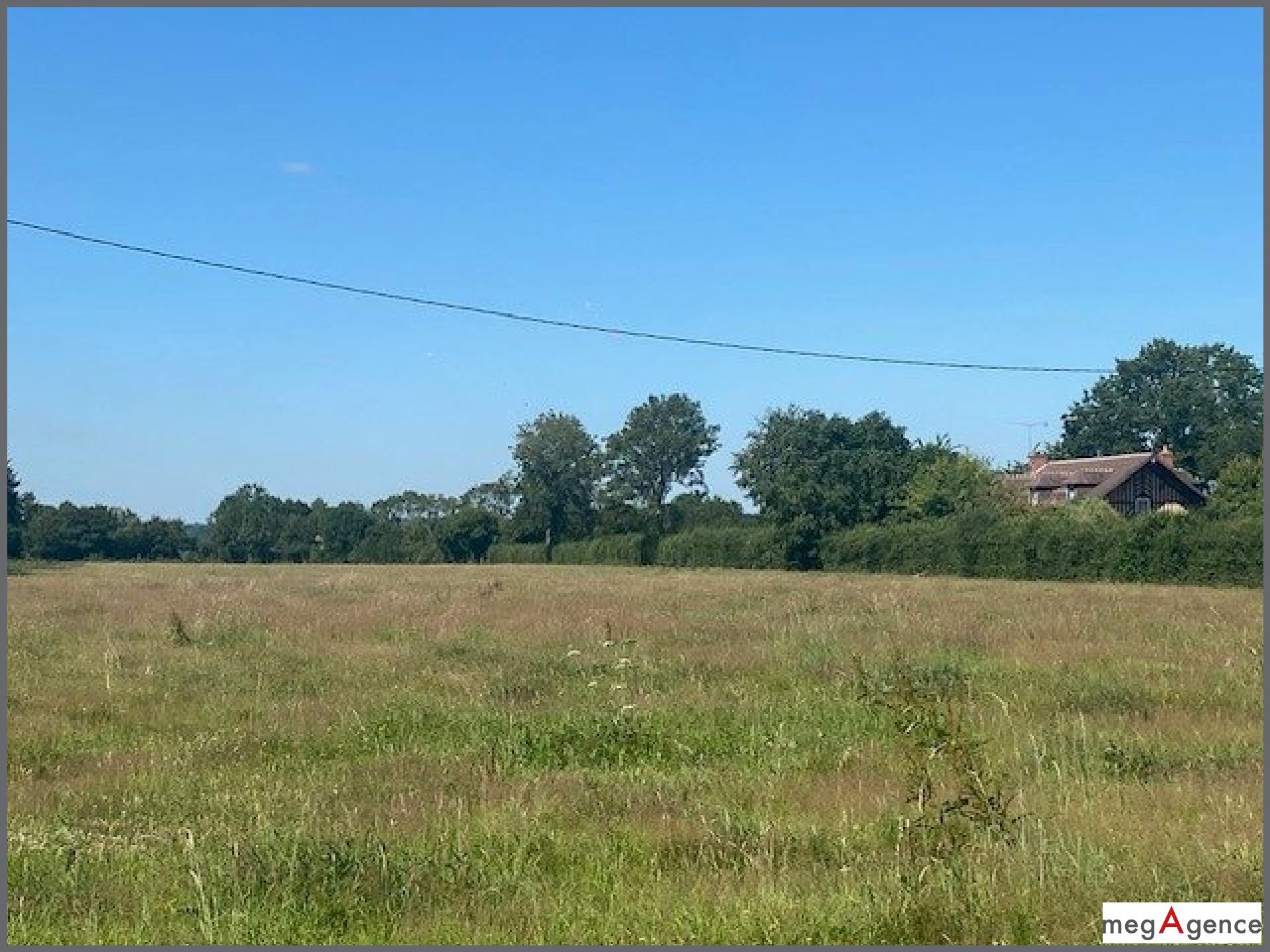 Miniature photo - 12 / 14