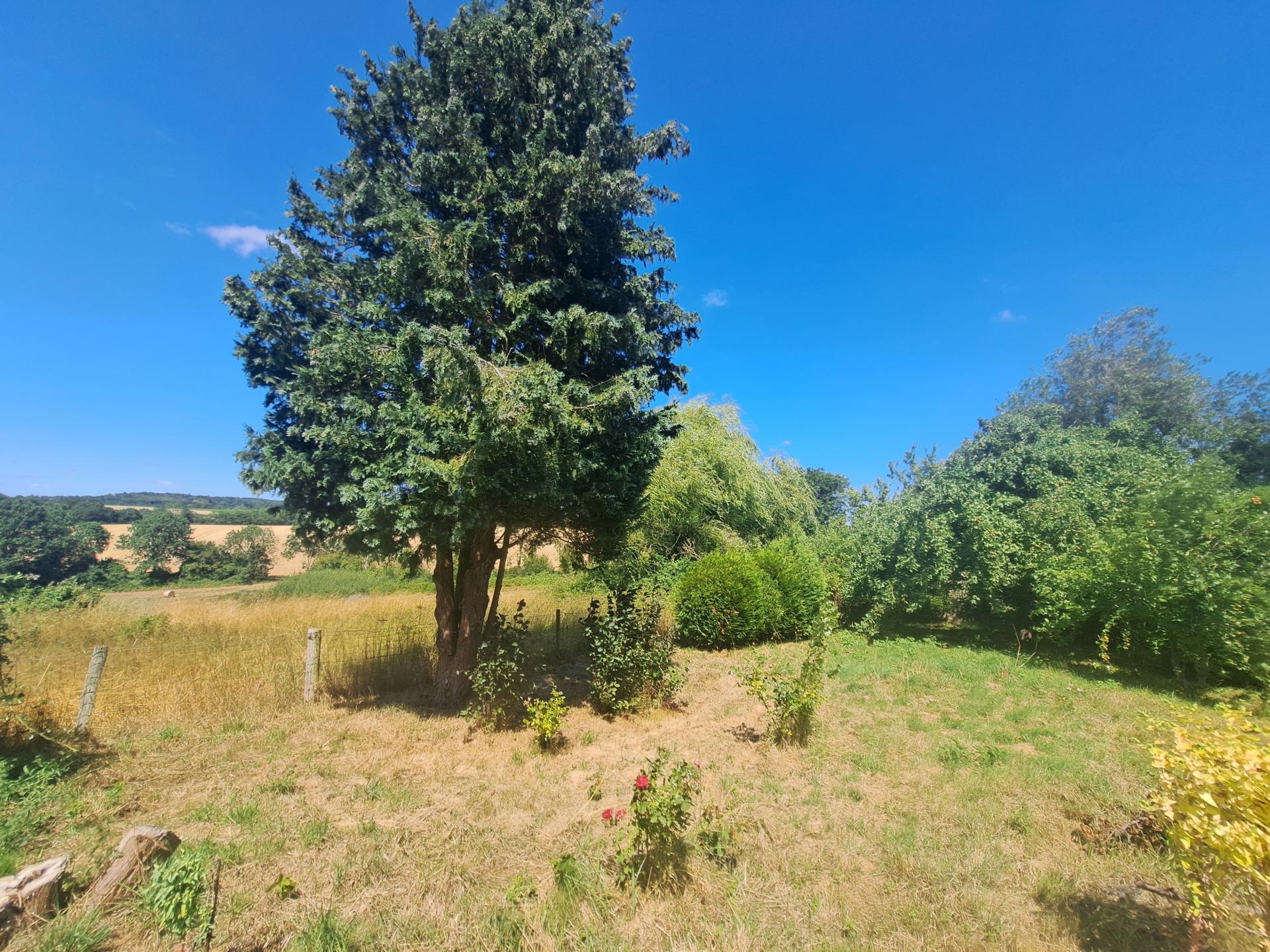 Miniature photo - 9 / 9