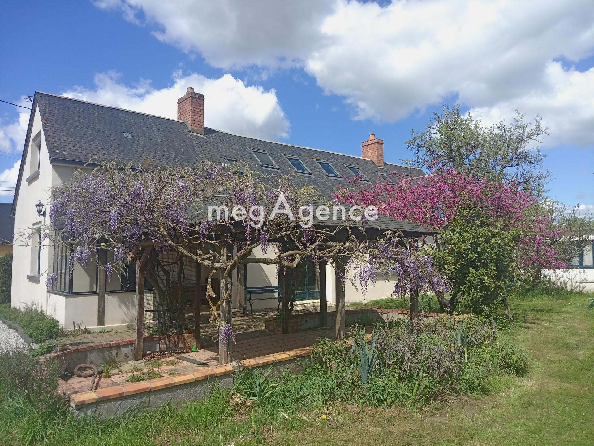 Miniature photo - 2 / 12