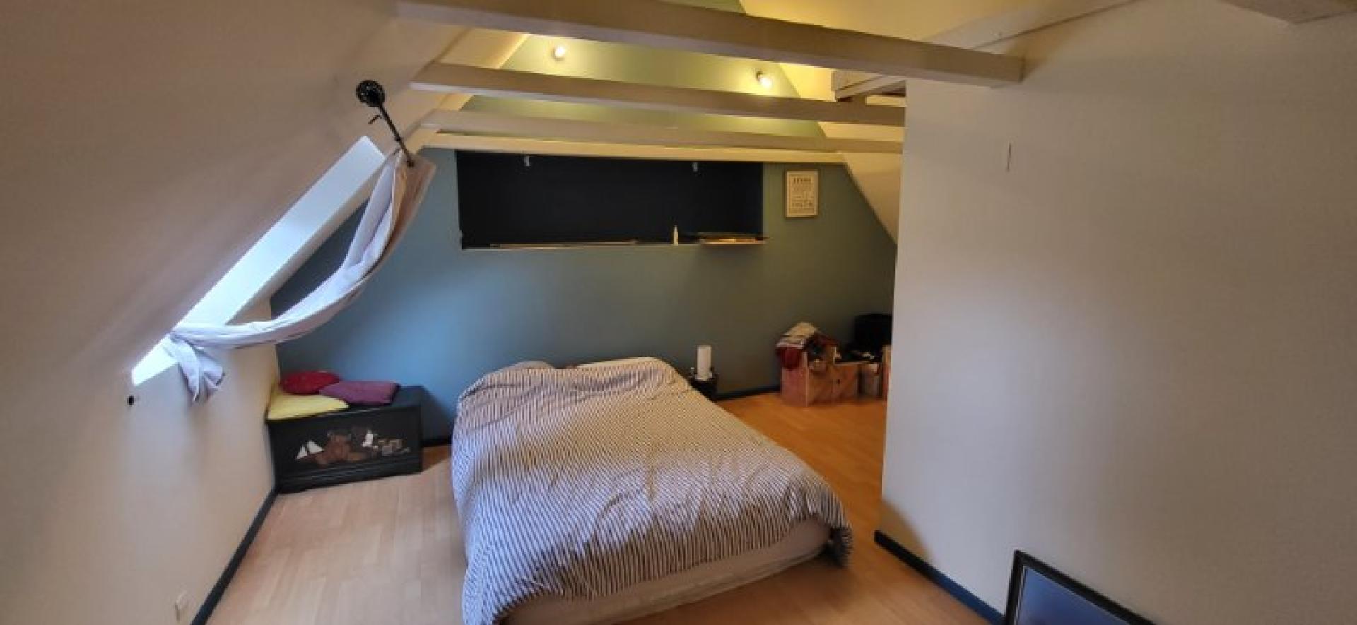 Miniature photo - 12 / 17