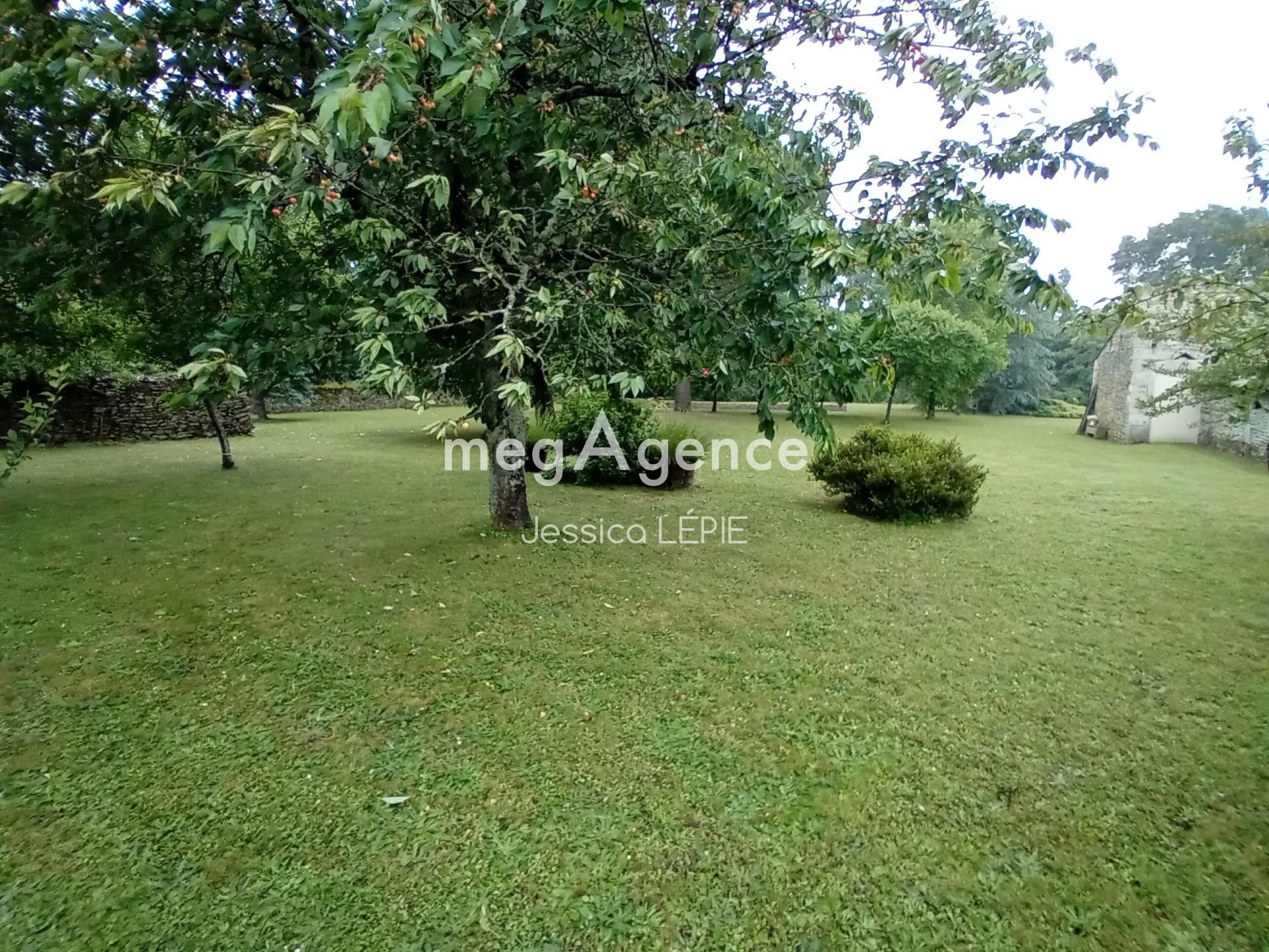 Miniature photo - 6 / 8